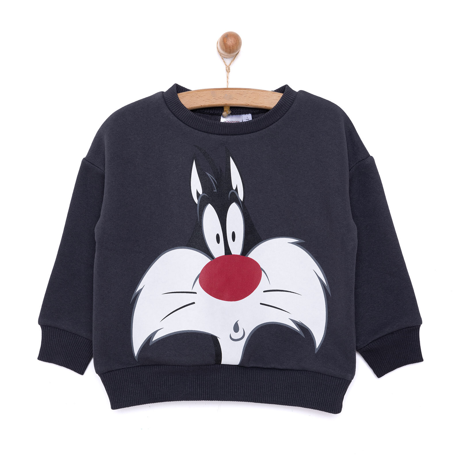 LooneyTunes Looney Tunes Erkek Sweatshirt Erkek Bebek