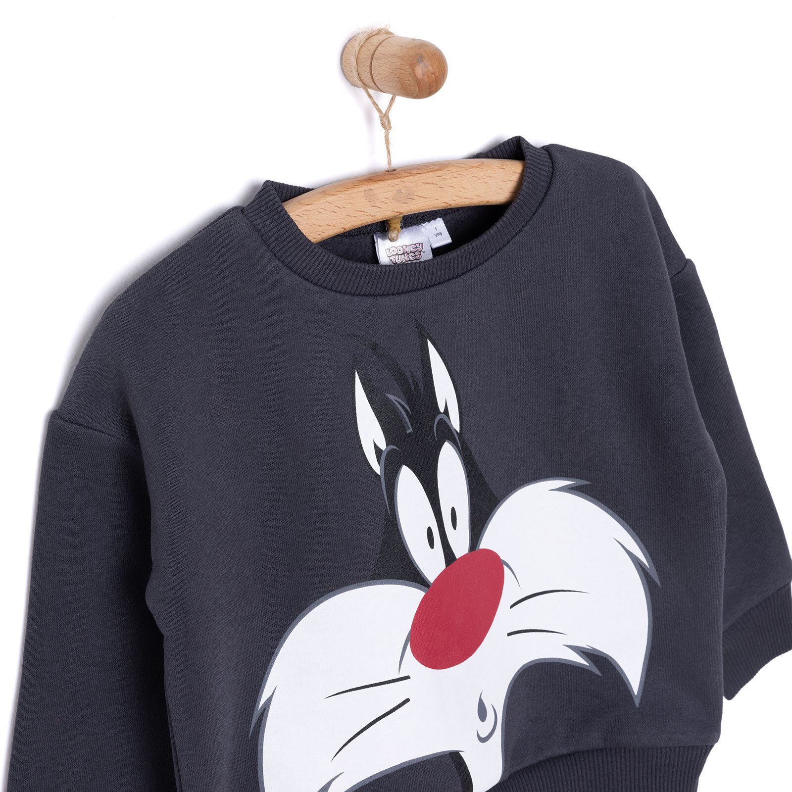 LooneyTunes Looney Tunes Erkek Sweatshirt Erkek Bebek