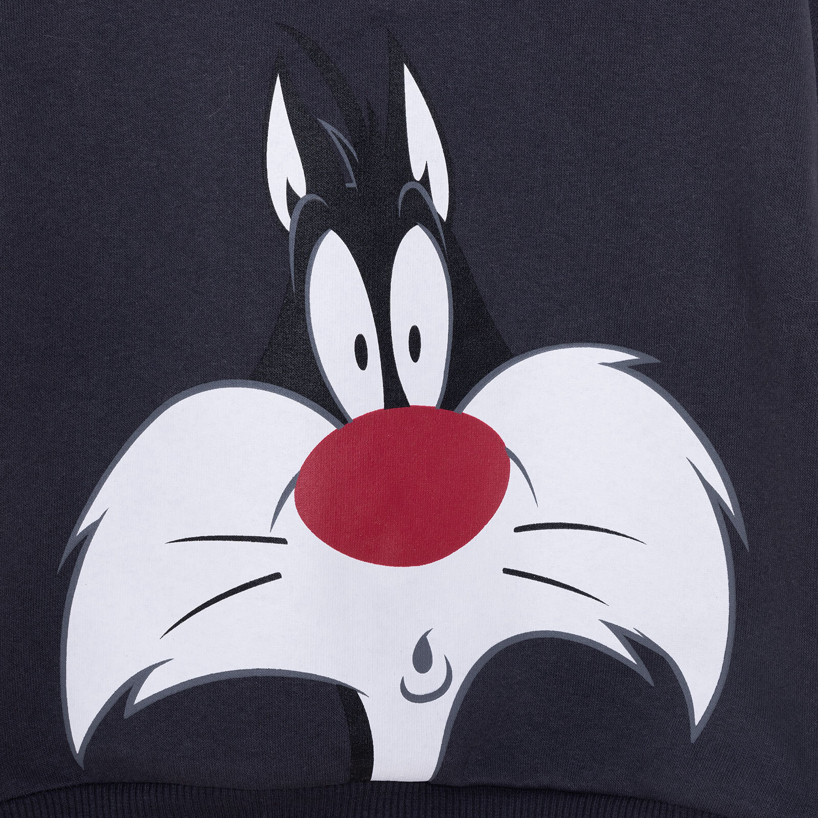 LooneyTunes Looney Tunes Erkek Sweatshirt Erkek Bebek