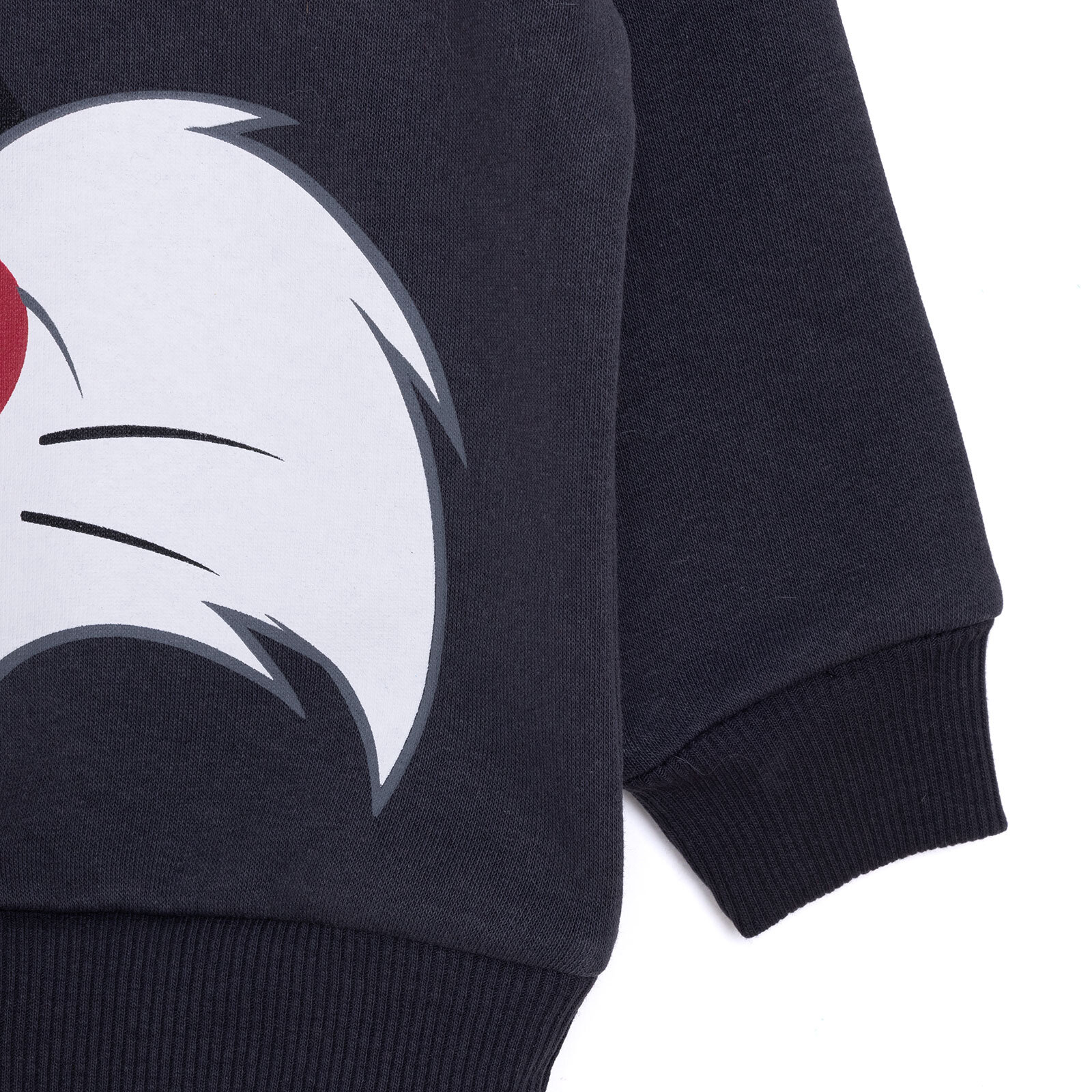 LooneyTunes Looney Tunes Erkek Sweatshirt Erkek Bebek
