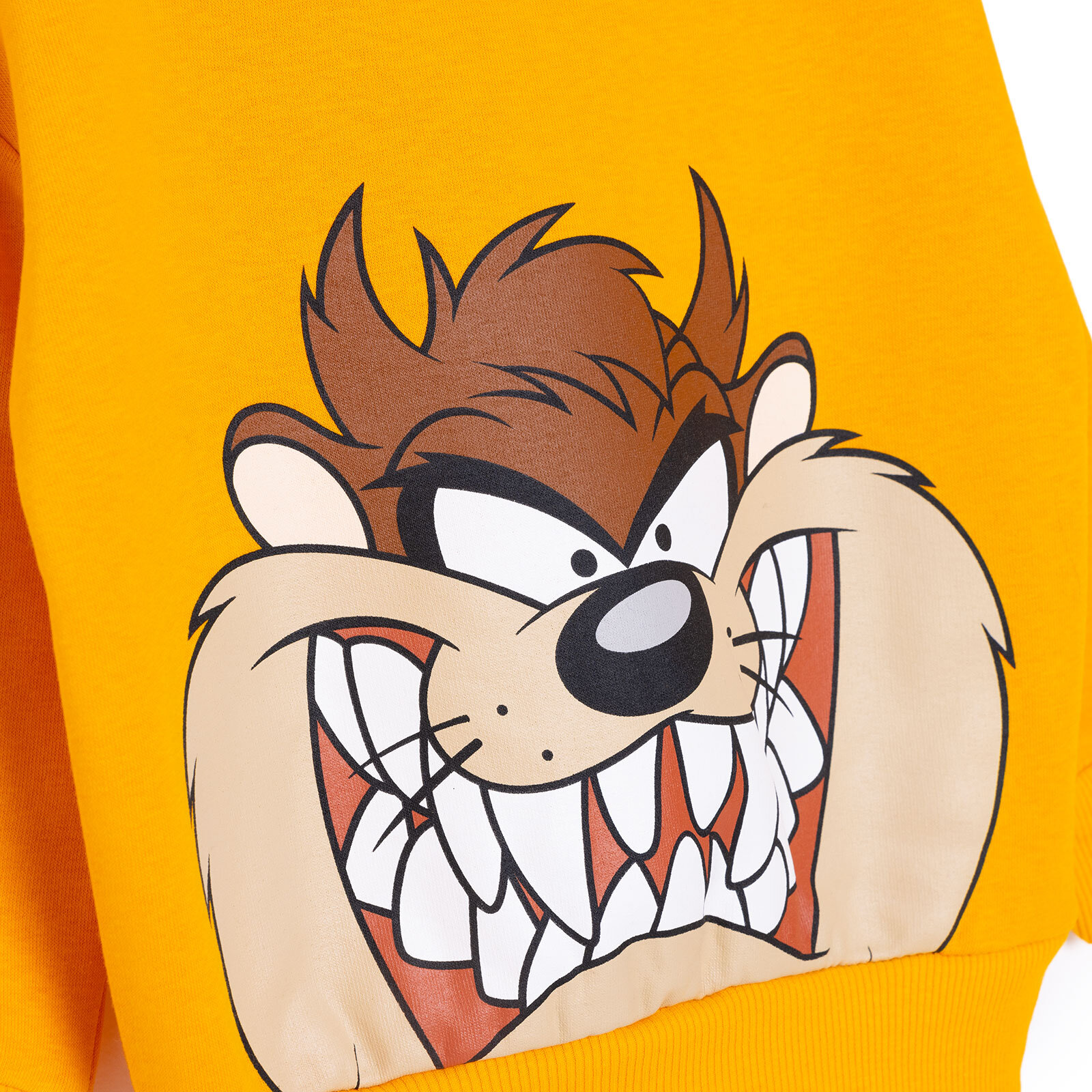 LooneyTunes Looney Tunes Erkek Sweatshirt Erkek Bebek