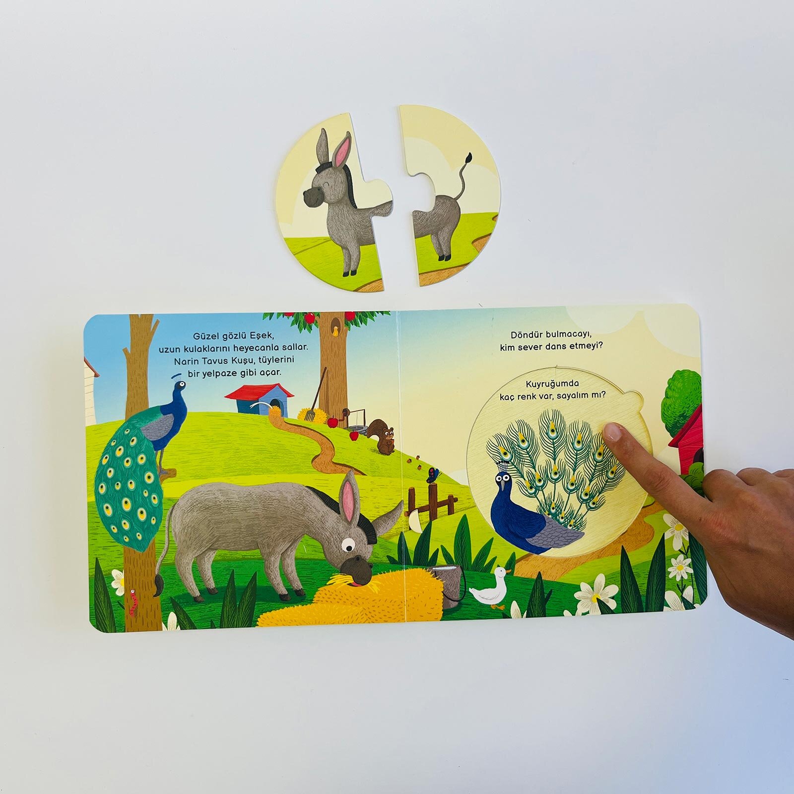 Merakımdan Soruyorum - Çiftlik