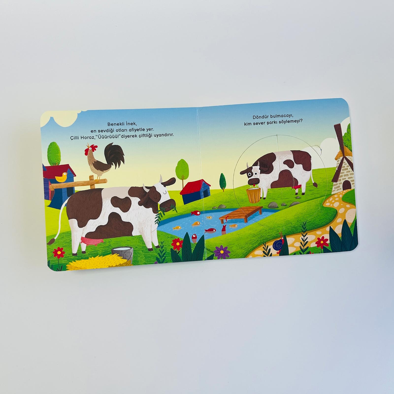 Merakımdan Soruyorum - Çiftlik