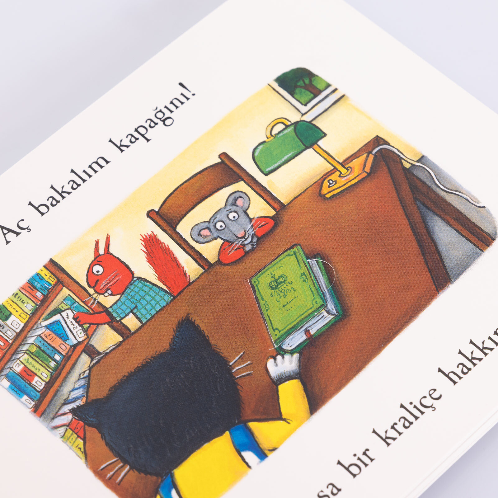 Meşe Palamutu Orman'ından Masallar KEDİ NE PİŞİRDİ –  Kapakçıklı Kitap