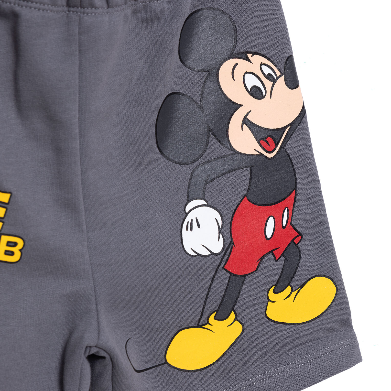 Mickey Mouse Erkek Şort Erkek Bebek Mickey Mouse Erkek Şort Erkek Bebek