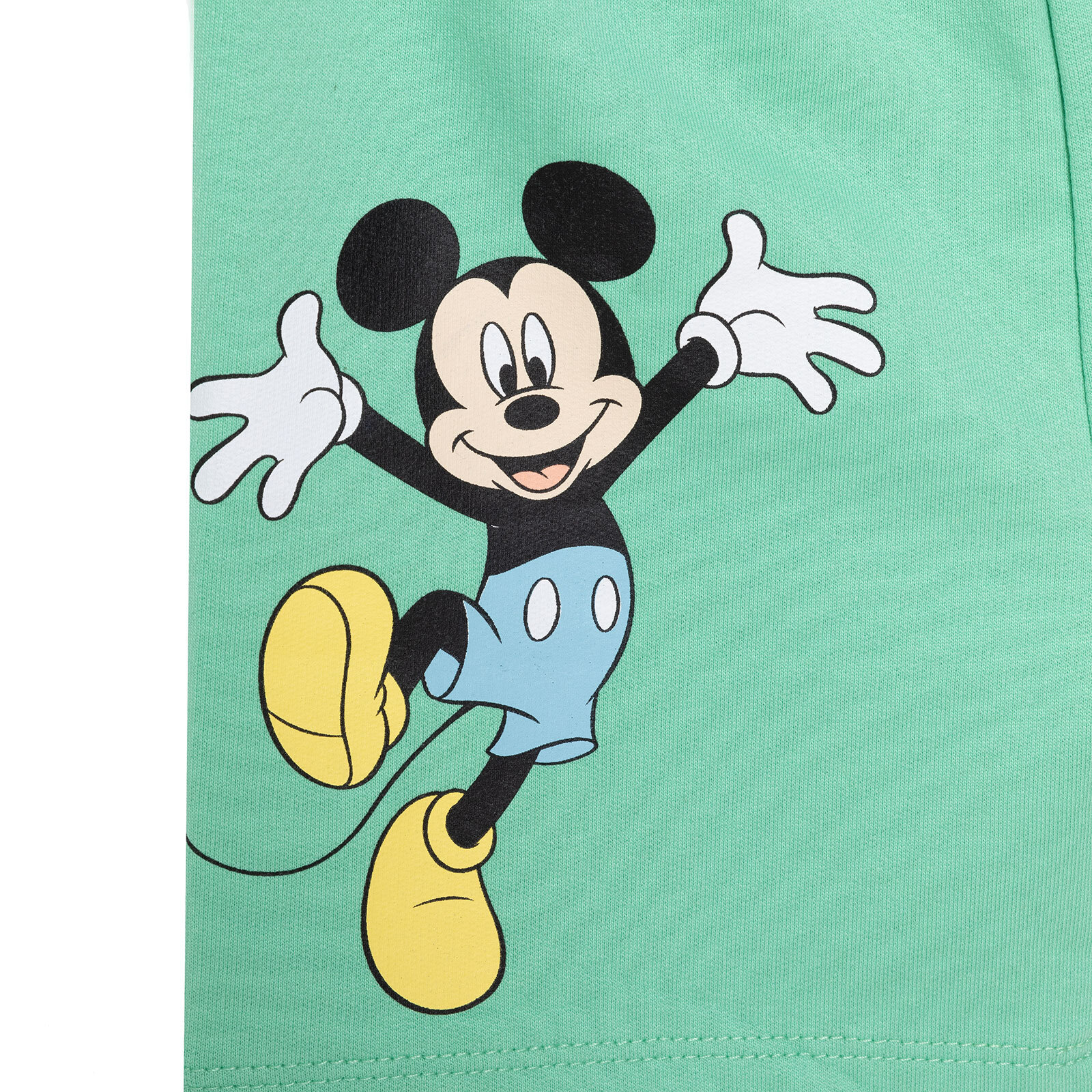 Mickey Mouse Erkek Tshirt-Şort Erkek Bebek