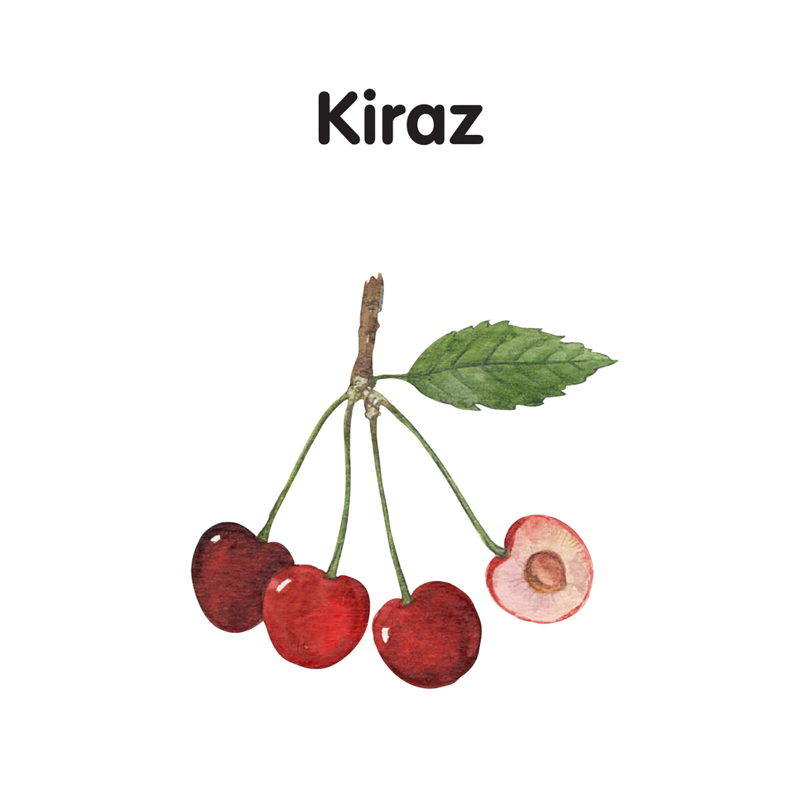 MİNİK KİTAPLARIM SERİSİ: MEYVELER