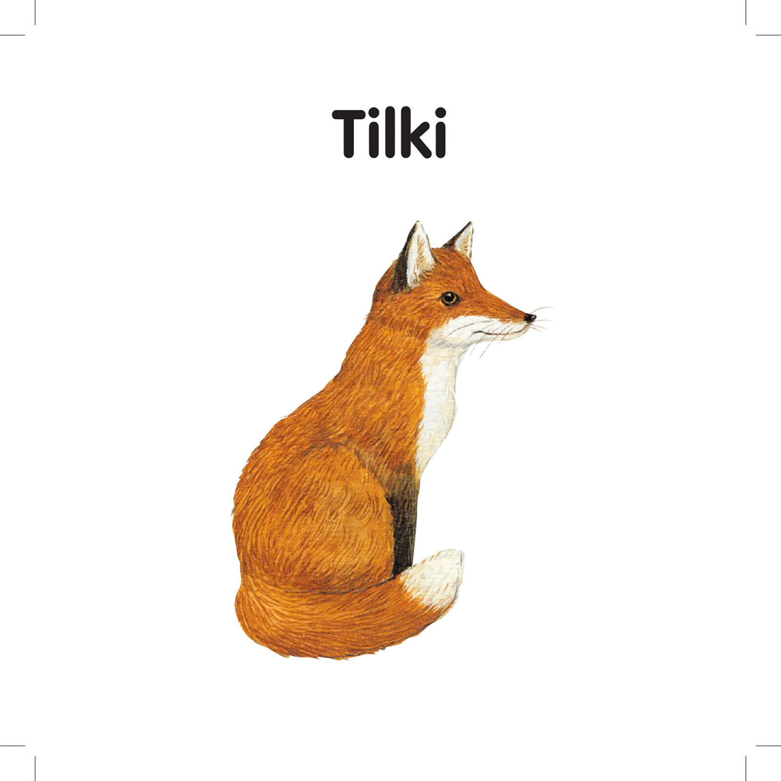 MİNİK KİTAPLARIM SERİSİ: ORMAN HAYVANLARI