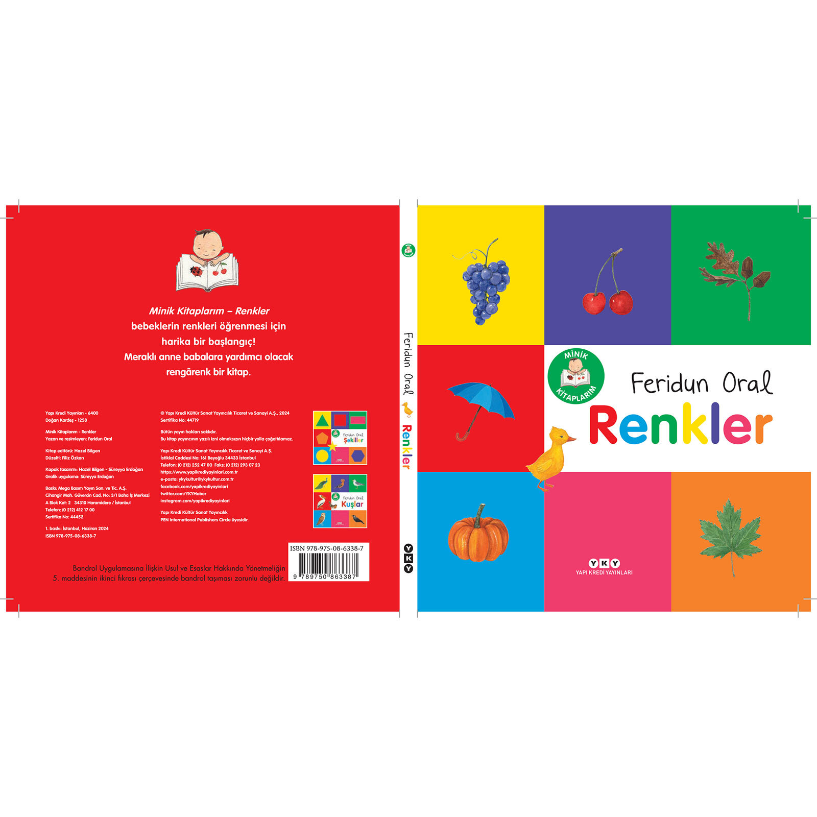 MİNİK KİTAPLARIM SERİSİ: RENKLER