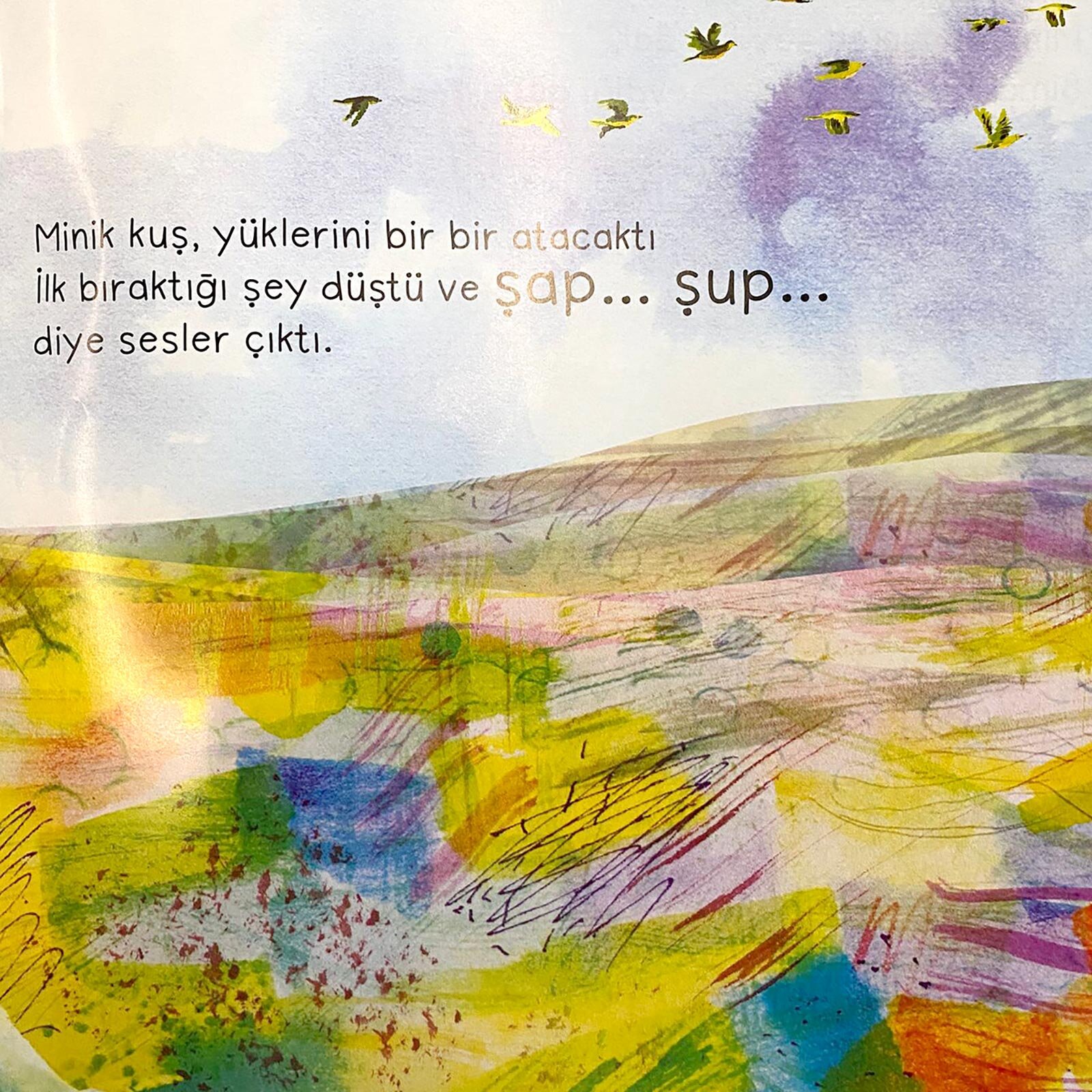 Minik Kuşun Yeni Evi