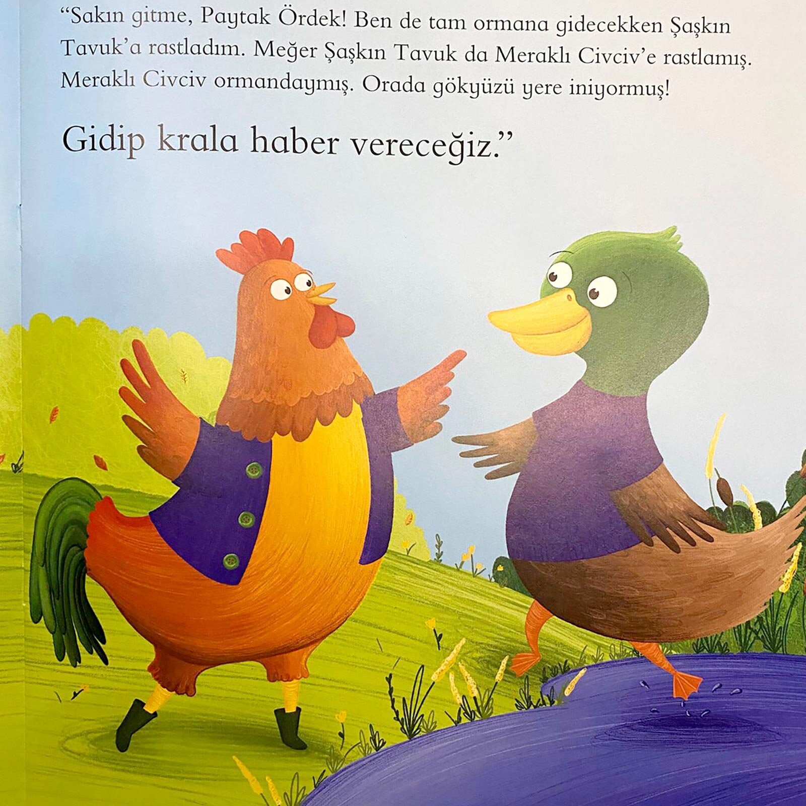 Minik Örümcek İle Kardeşi Minik Örümcek İle Kardeşi