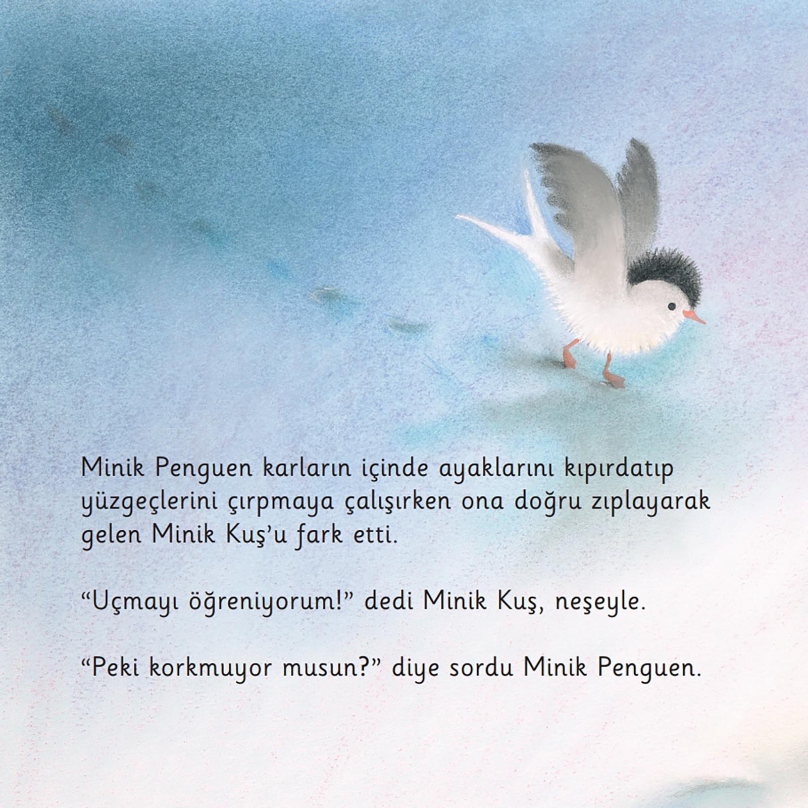 Minik Penguen Yüzmeyi Öğreniyor