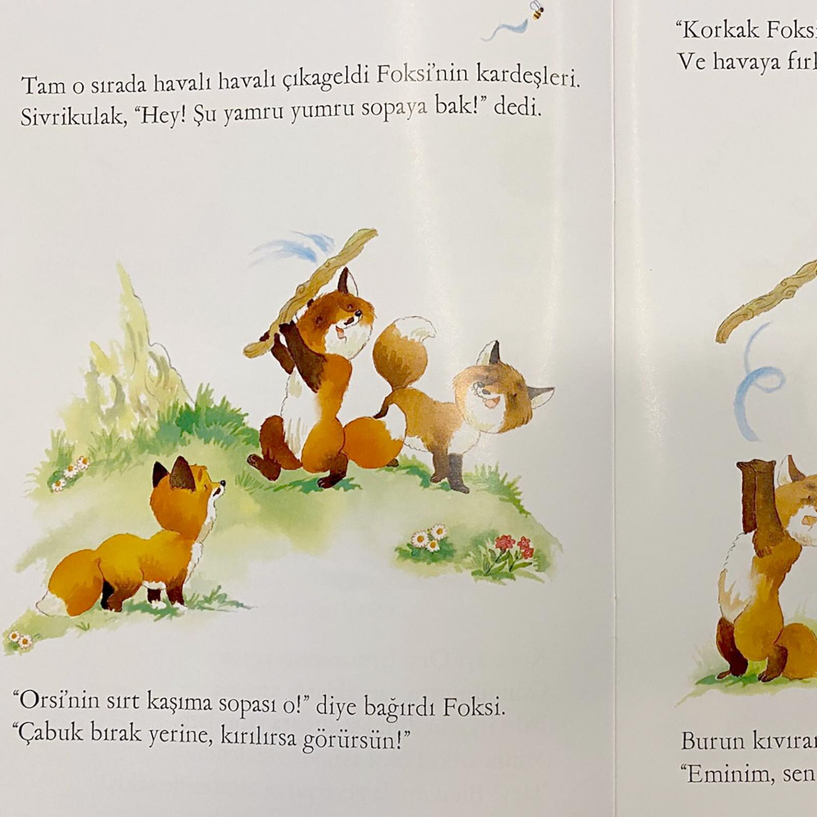 Minik Tilkinin Sırrı Minik Tilkinin Sırrı