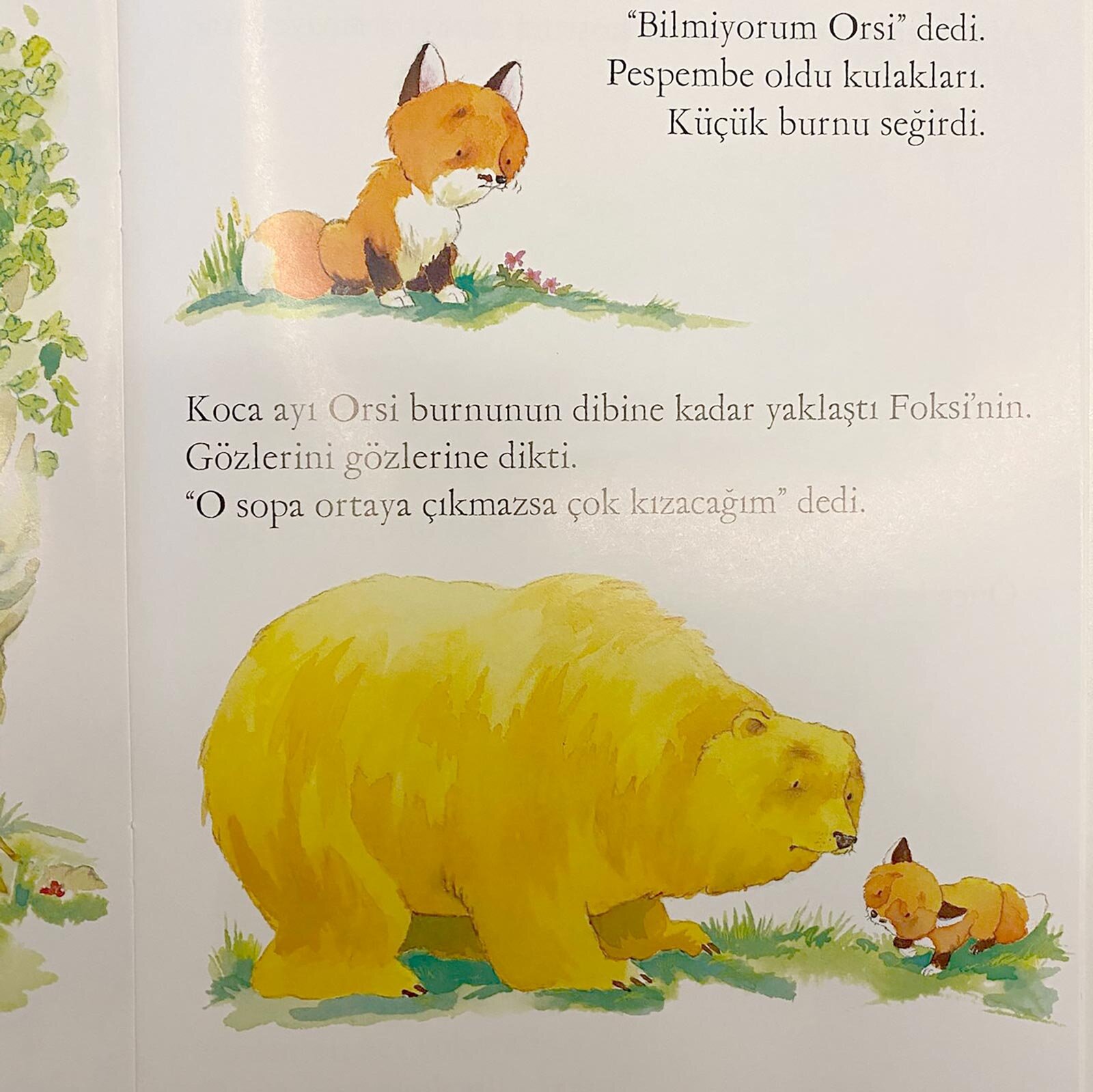 Minik Tilkinin Sırrı Minik Tilkinin Sırrı