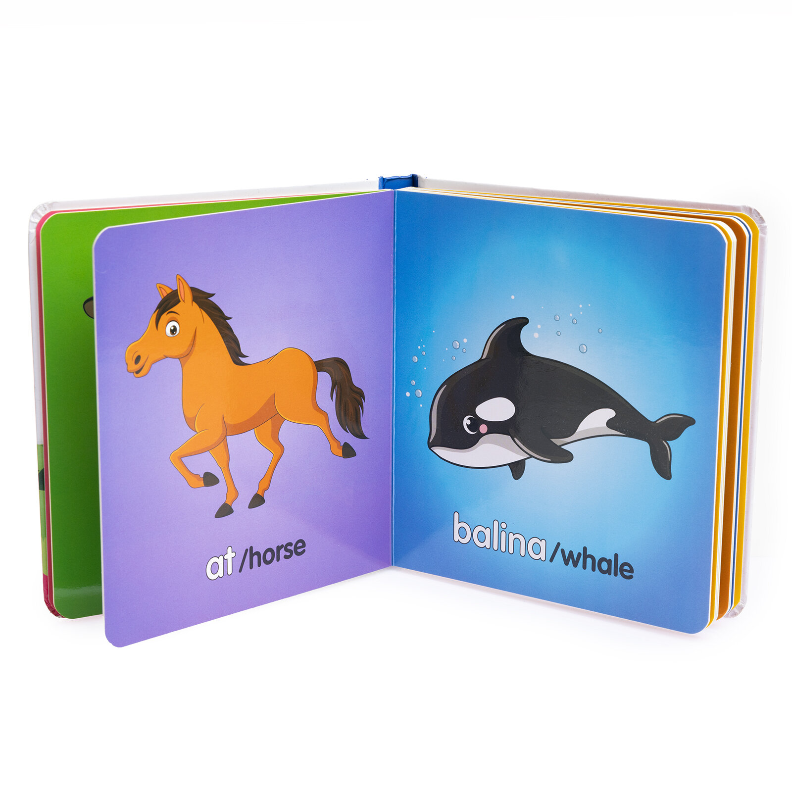 Minnak Serisi Hayvanlar Kitabı