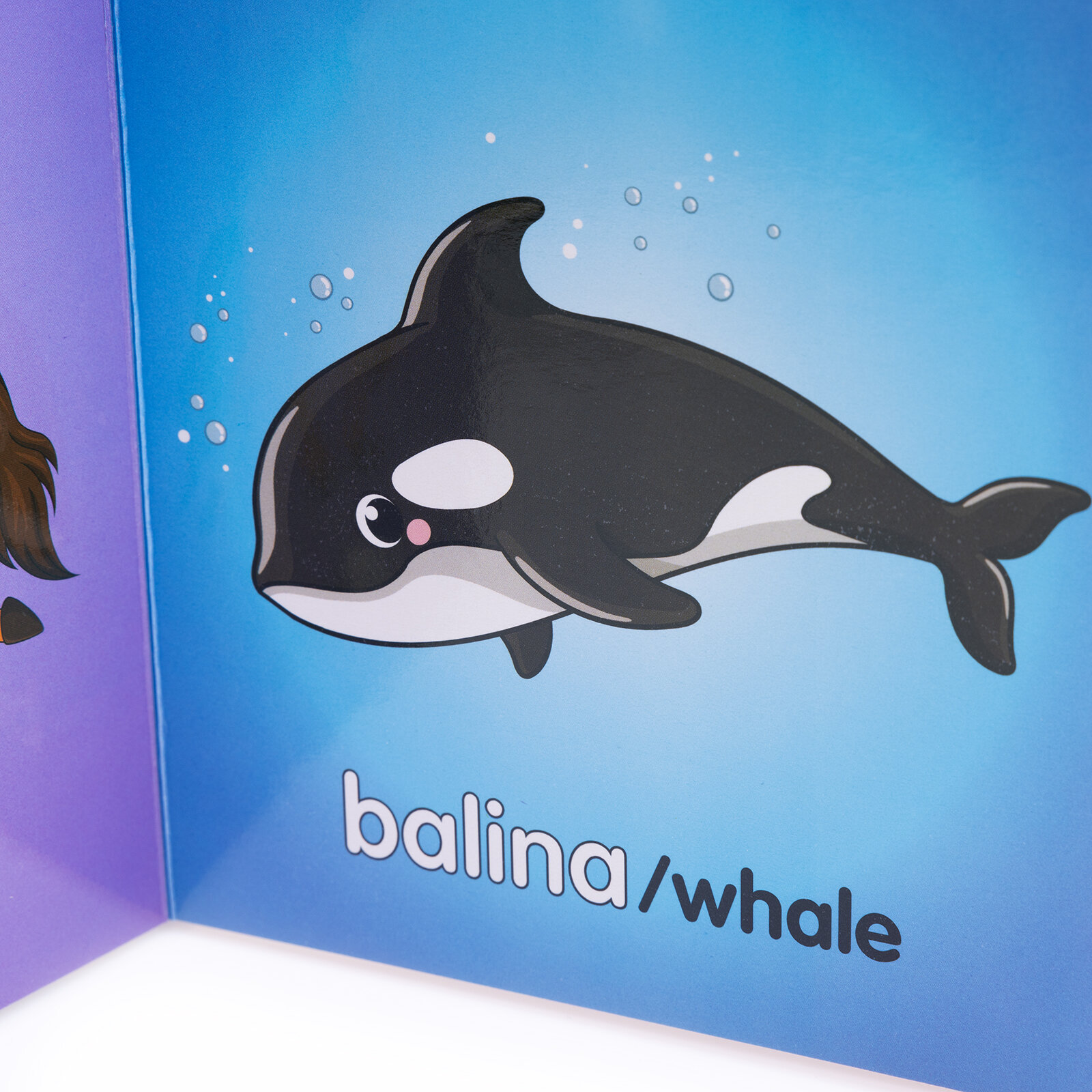 Minnak Serisi Hayvanlar Kitabı