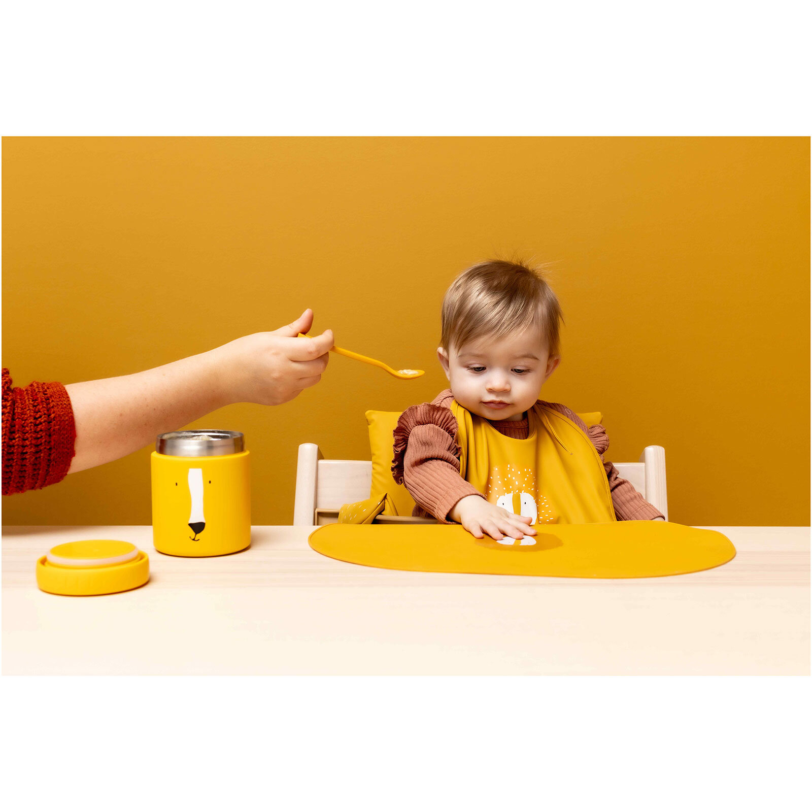 Mr. Lion -Sıvı Geçirmez 2li Mama Önlüğü Seti