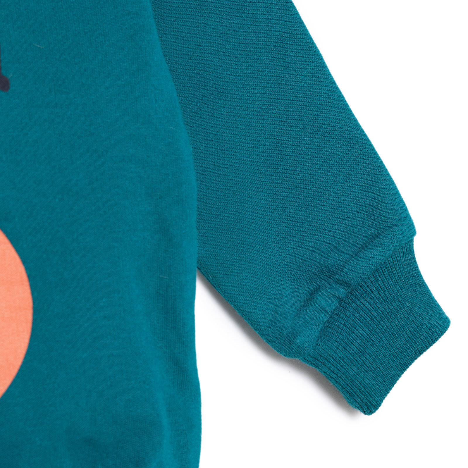 Müzikli Dinazor Baskılı Sweatshirt Erkek Bebek