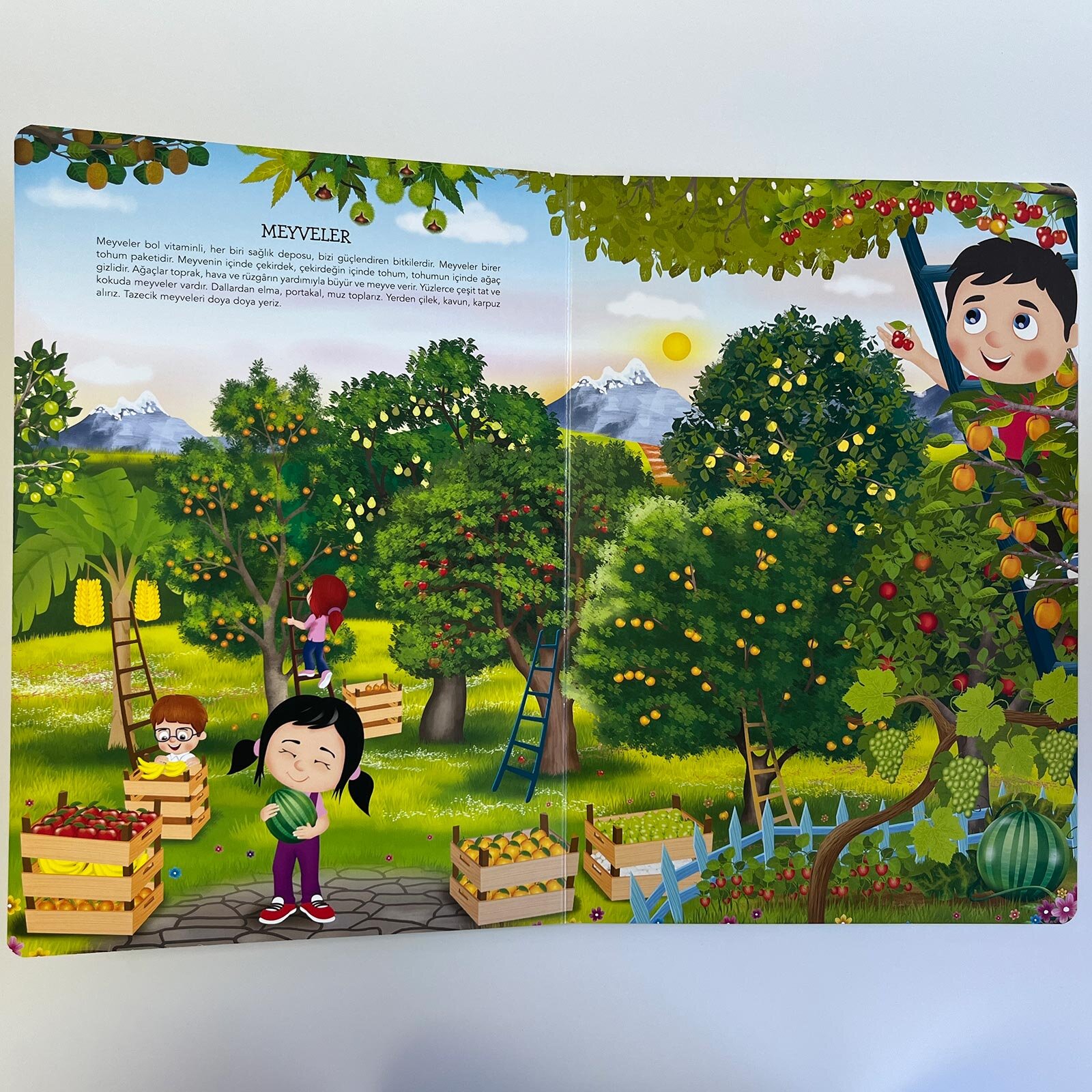 Ne Sorsan Bilir Minik - Benim İlk Bitkiler Kitabım