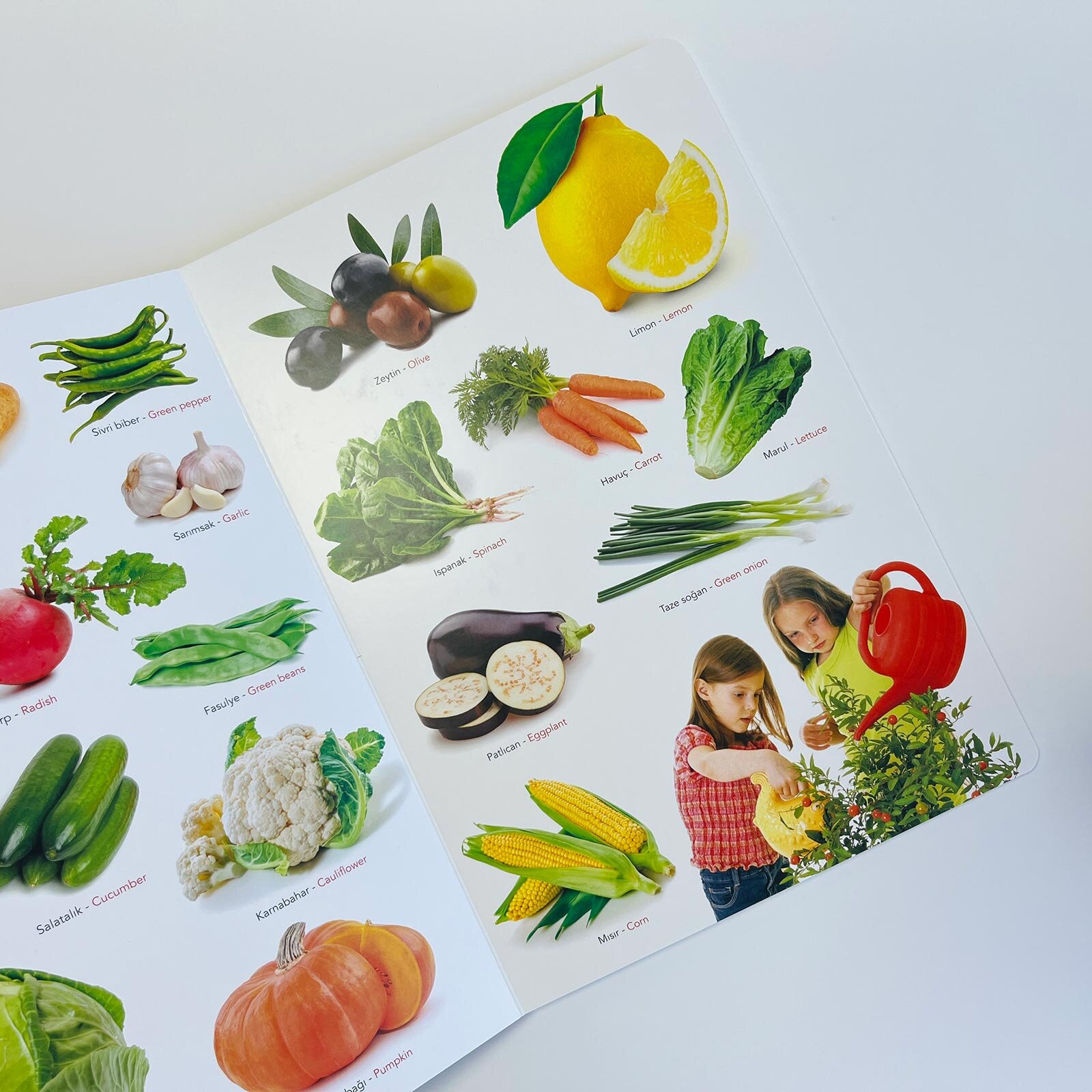 Ne Sorsan Bilir Minik - Benim İlk Bitkiler Kitabım