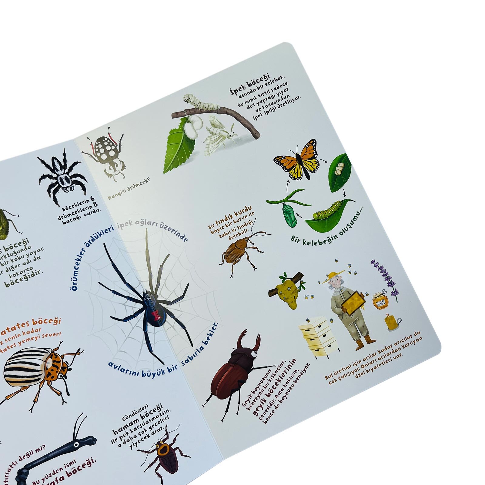 Ne Sorsan Bilir Minik - Benim İlk Böcekler Kitabım