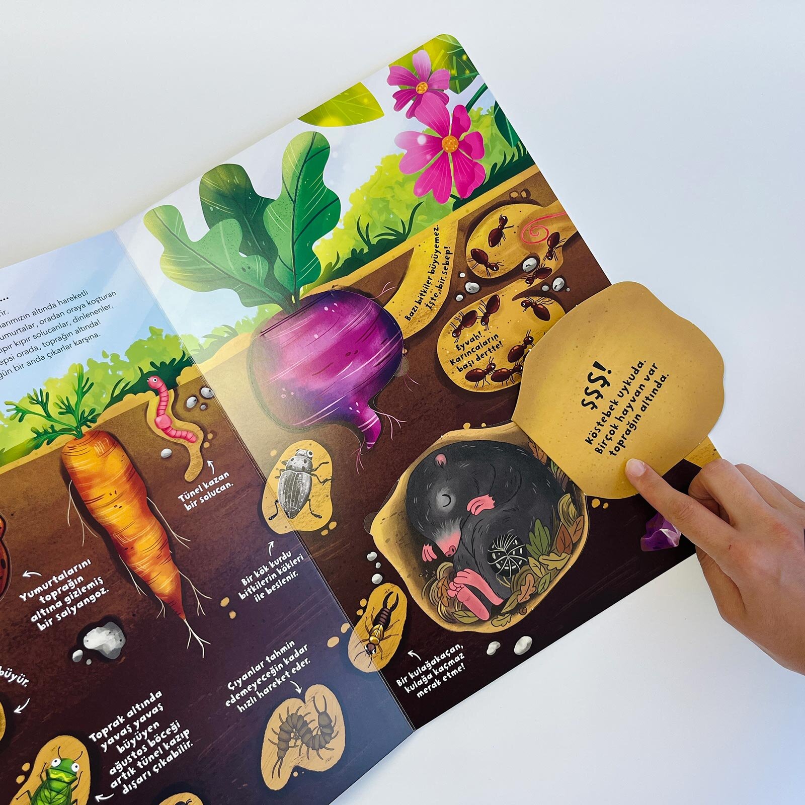 Ne Sorsan Bilir Minik - Benim İlk Böcekler Kitabım