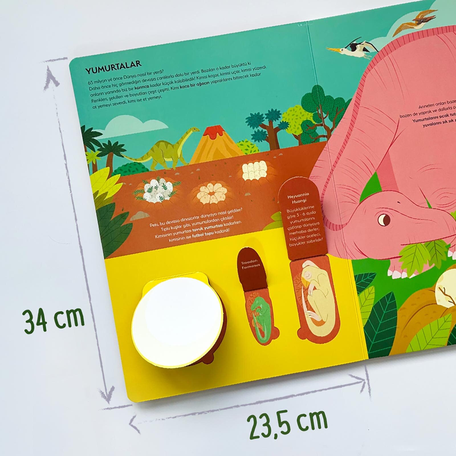 Ne Sorsan Bilir Minik - Benim İlk Dinozorlar Kitabım