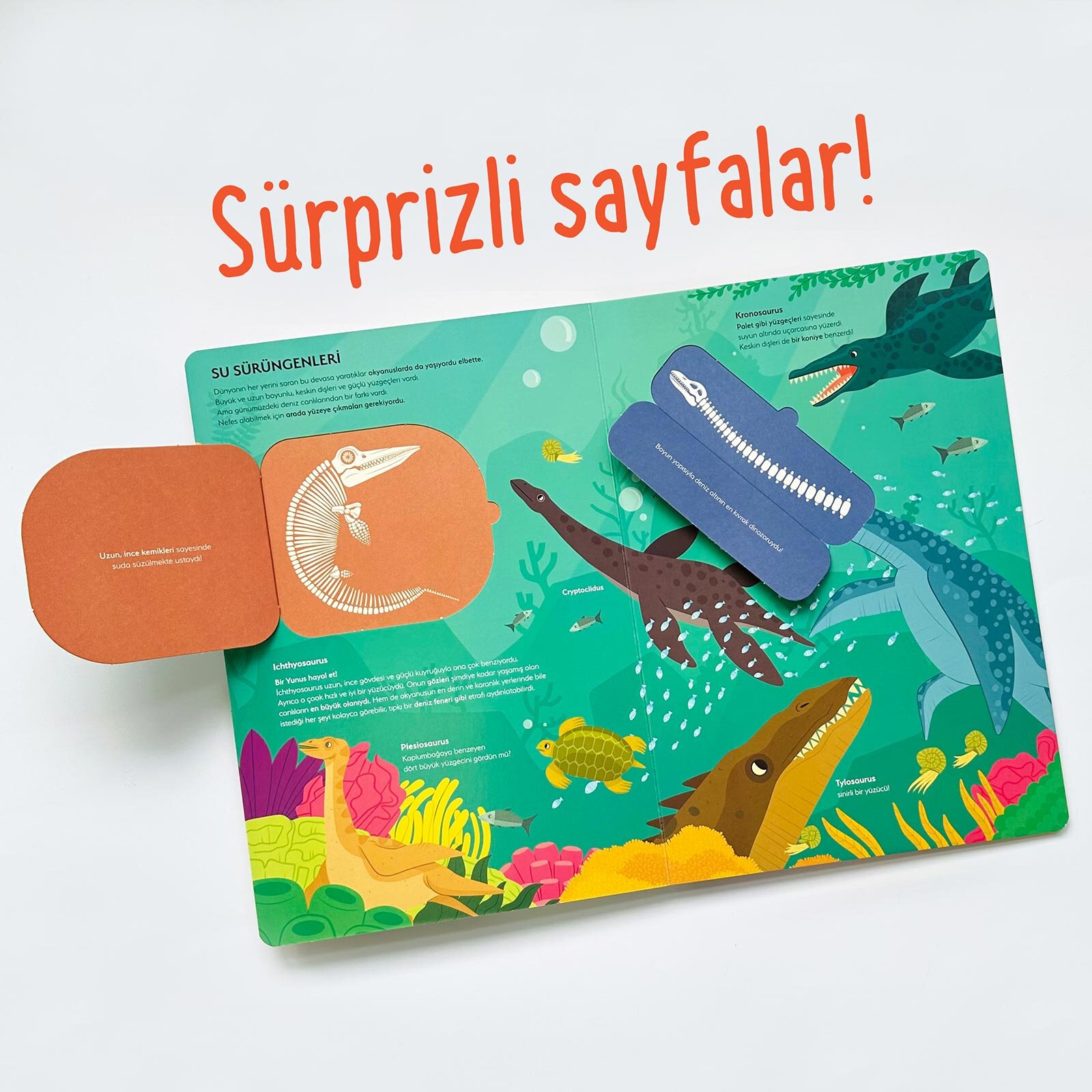 Ne Sorsan Bilir Minik - Benim İlk Dinozorlar Kitabım