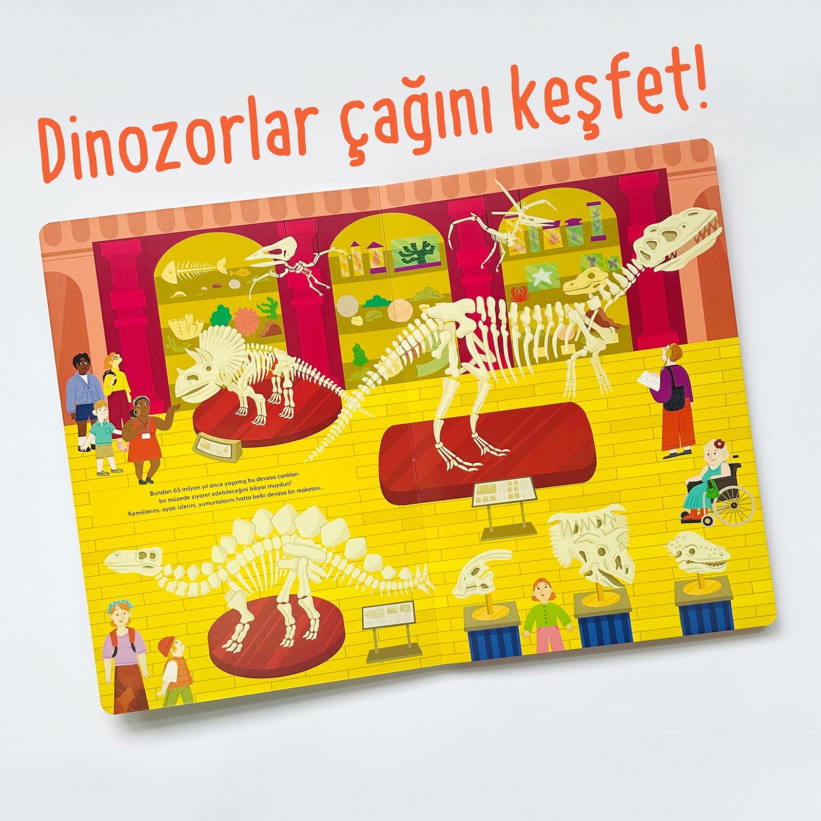 Ne Sorsan Bilir Minik - Benim İlk Dinozorlar Kitabım