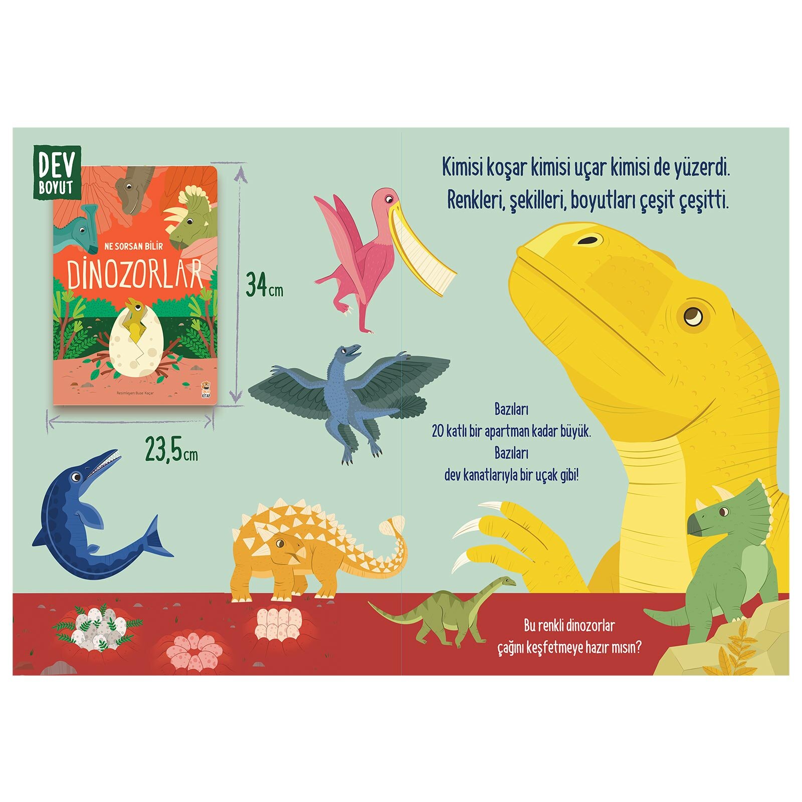 Ne Sorsan Bilir Minik - Benim İlk Dinozorlar Kitabım