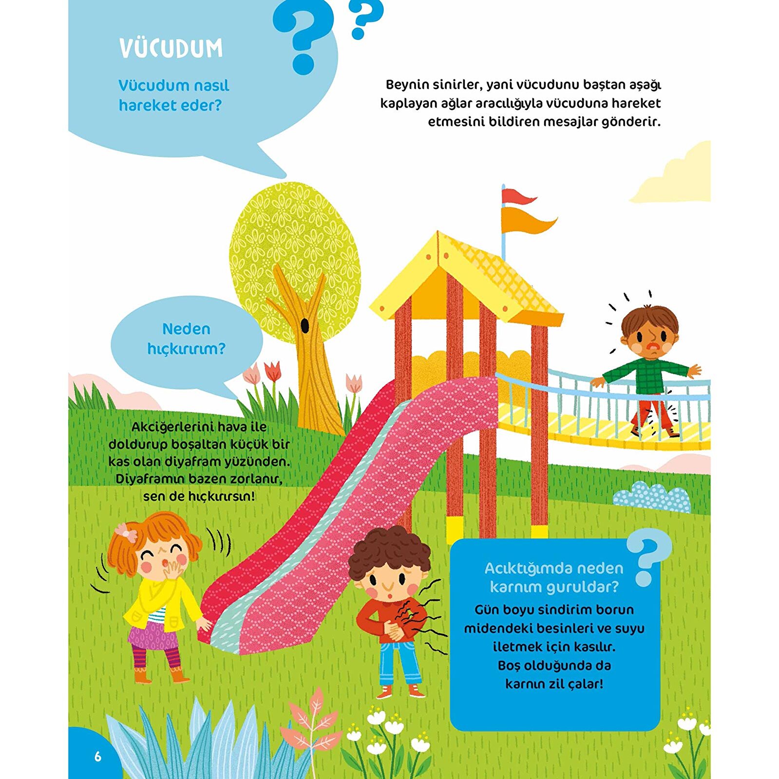 Neden Nasıl ? 5 Yaş Neden Nasıl ? 5 Yaş