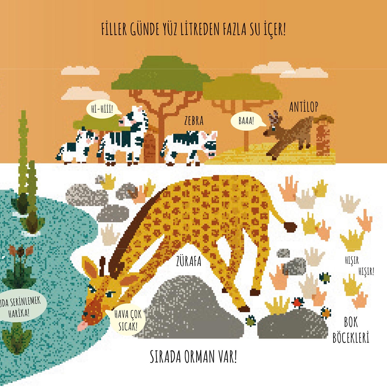 Neşeli Sürprizler - Vahşi Doğa