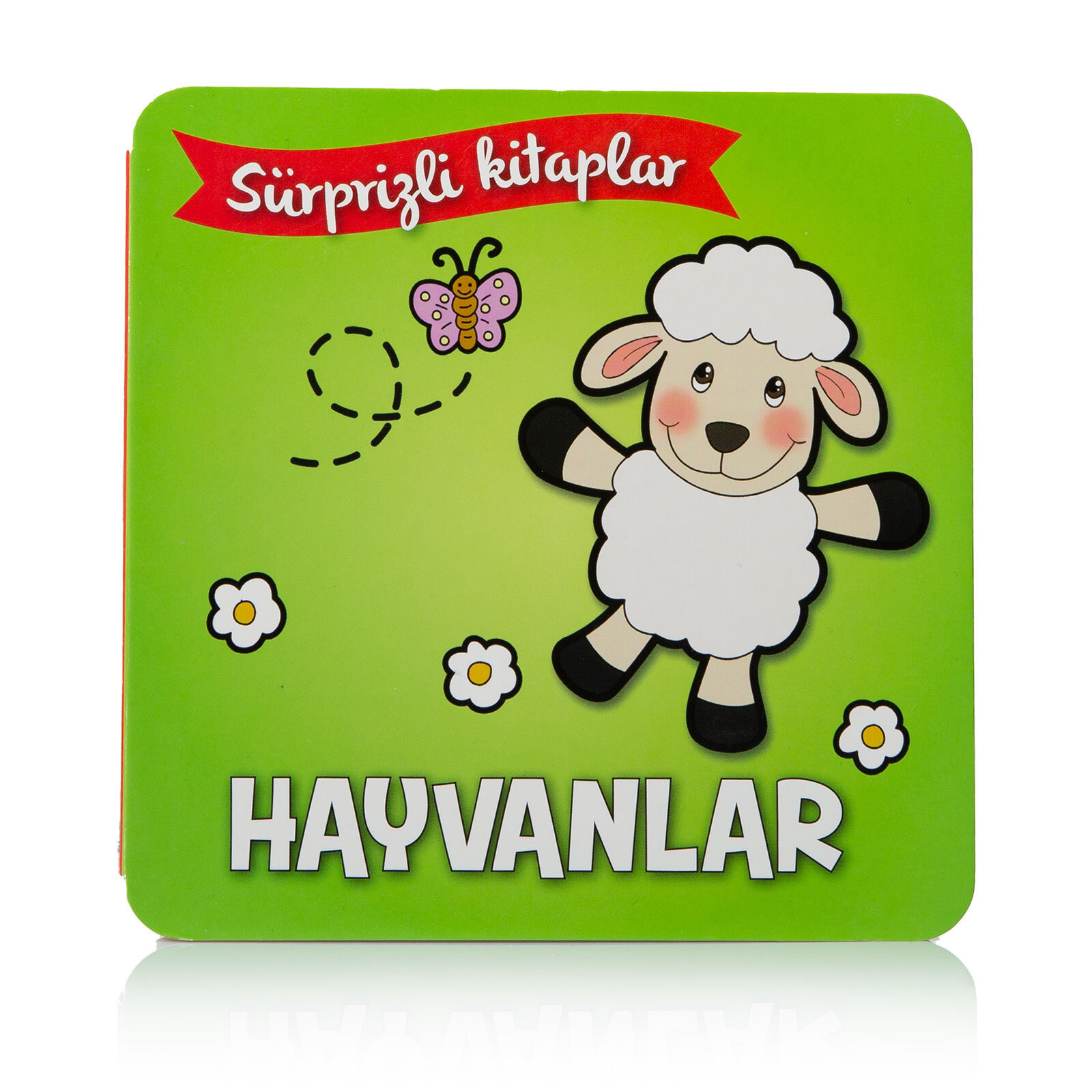 NET Sürprizli Kitaplar