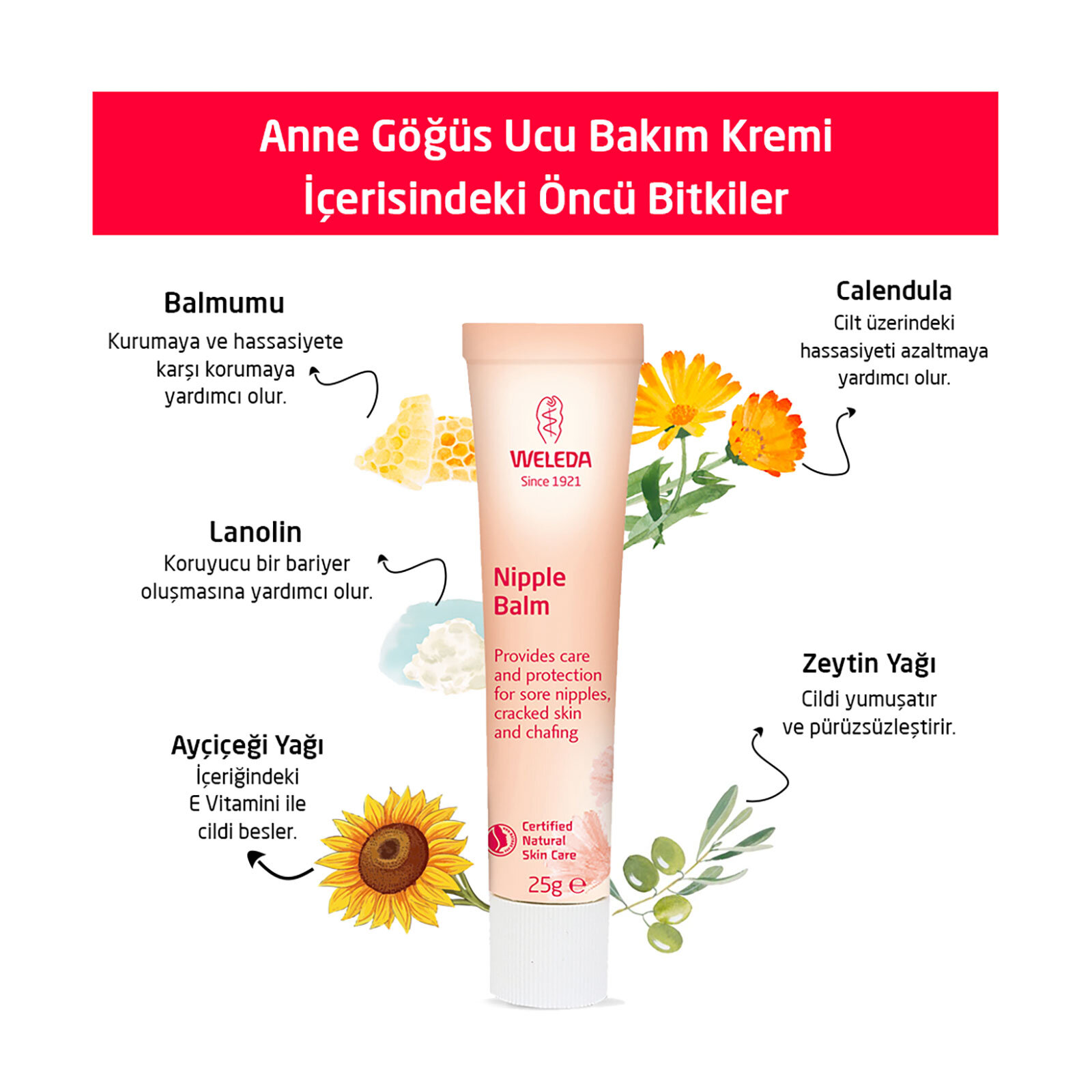 Organik Göğüs Ucu Bakım Kremi 25g