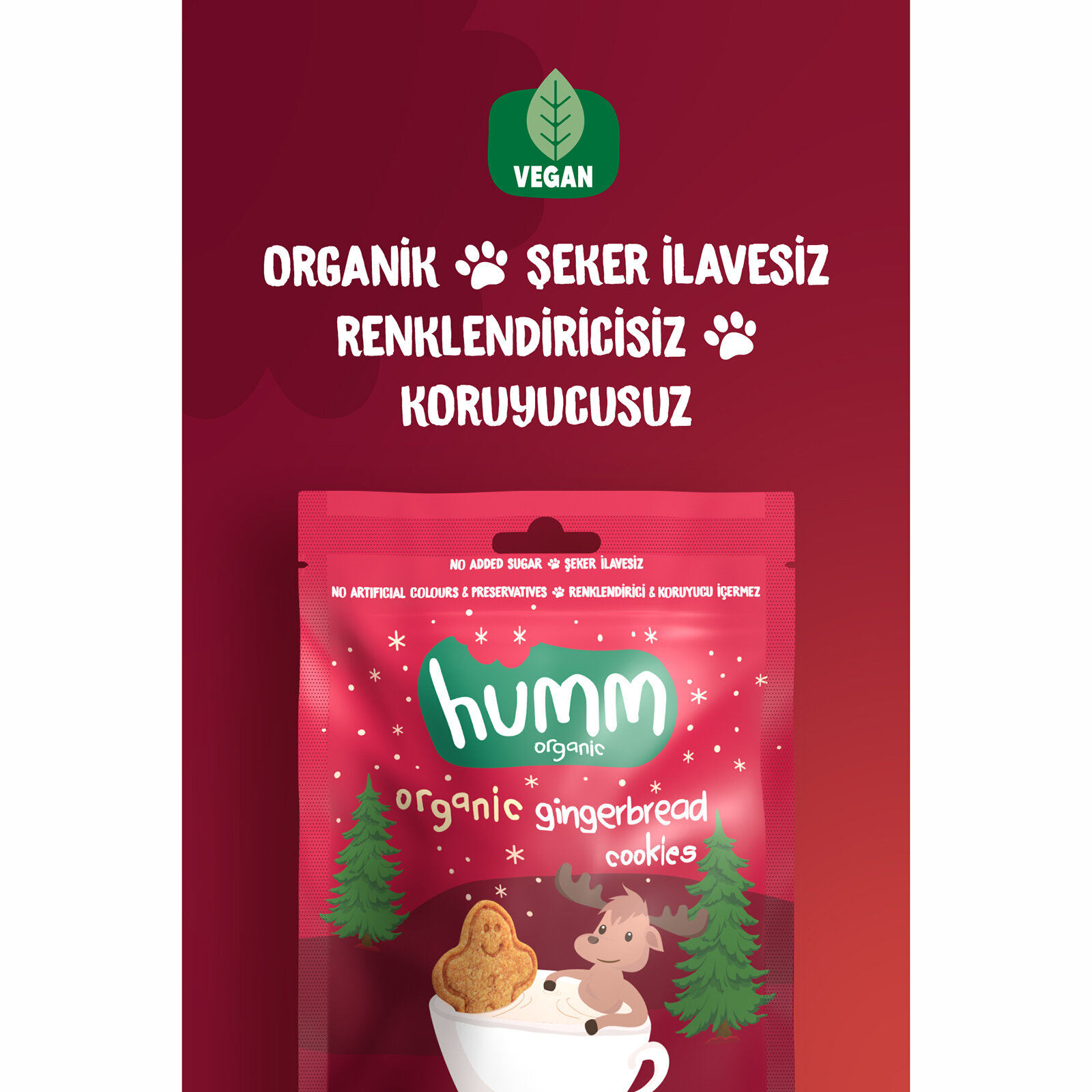 Organik Vegan Zencefilli ve Tarçınlı Kurabiye 55 gr Organik Vegan Zencefilli ve Tarçınlı Kurabiye 55 gr