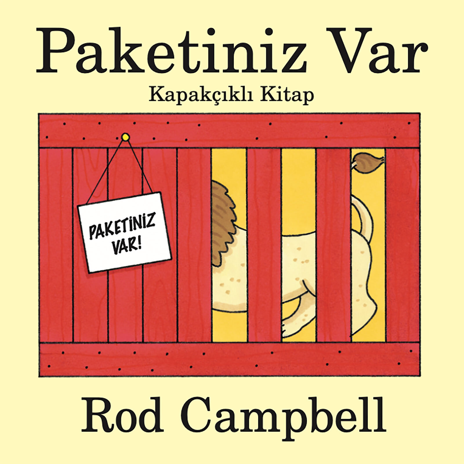Paketiniz Var-Kapakçıklı Kitap