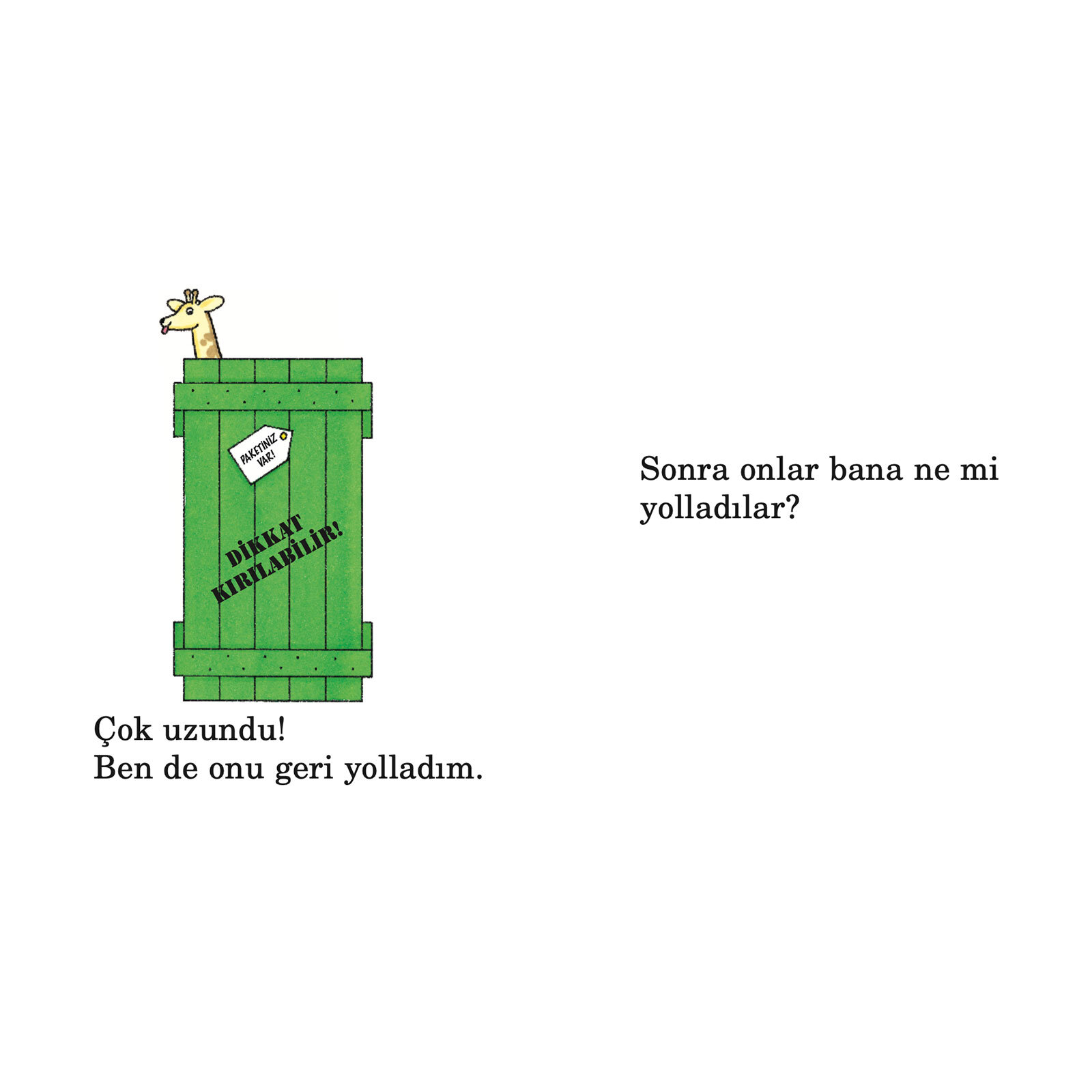 Paketiniz Var-Kapakçıklı Kitap