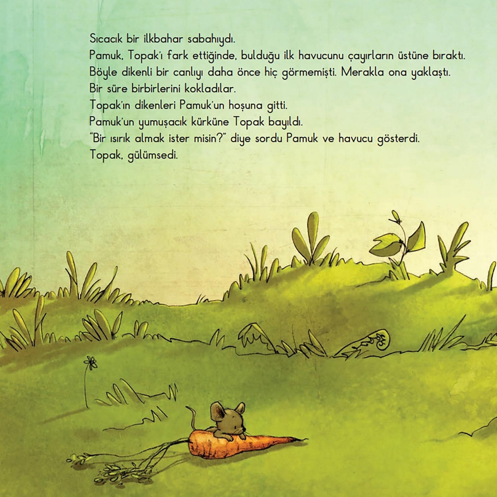 Pamuk ile Topak-Arkadaşım Olur musun?