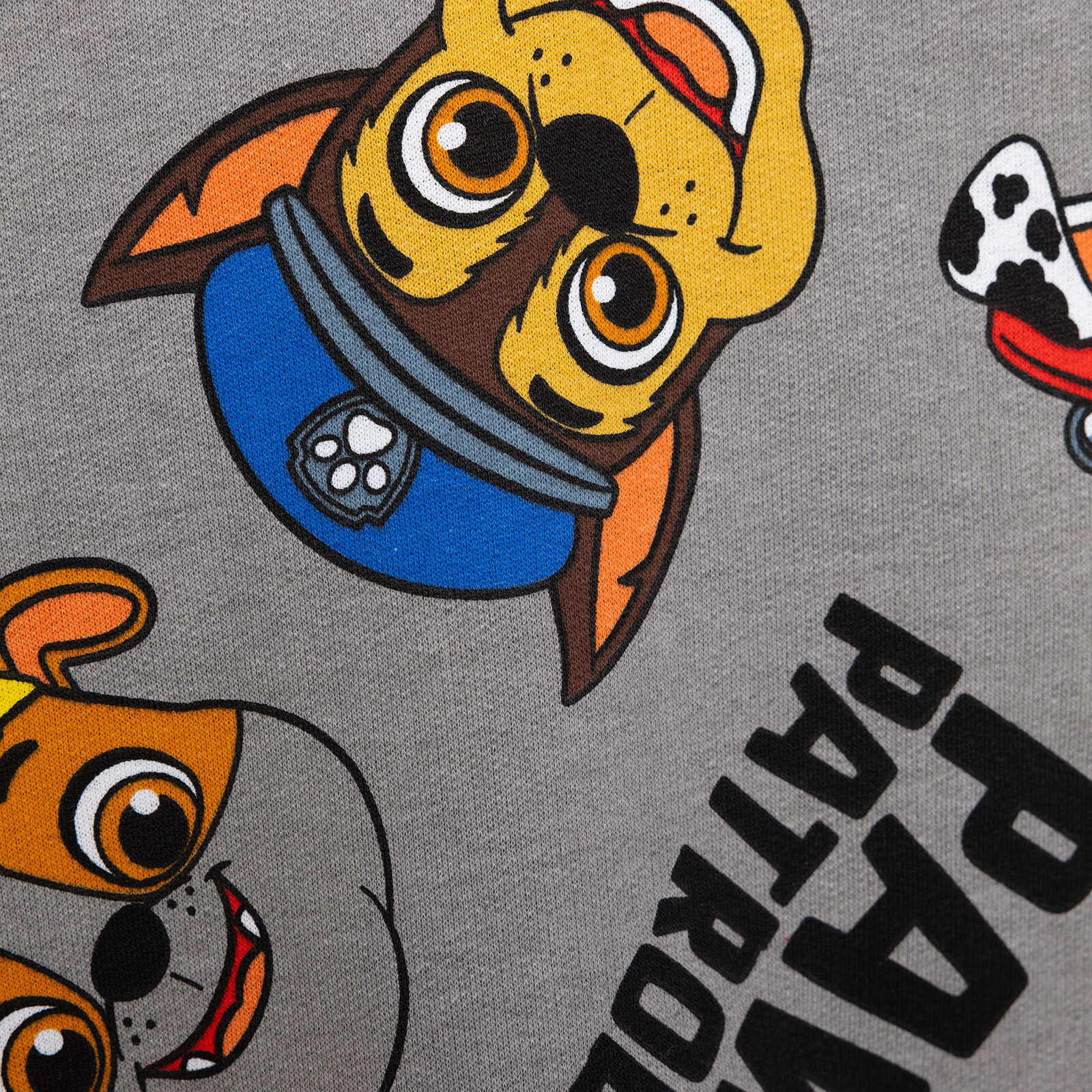 Paw Patrol Erkek Eşofman Takımı Erkek Bebek