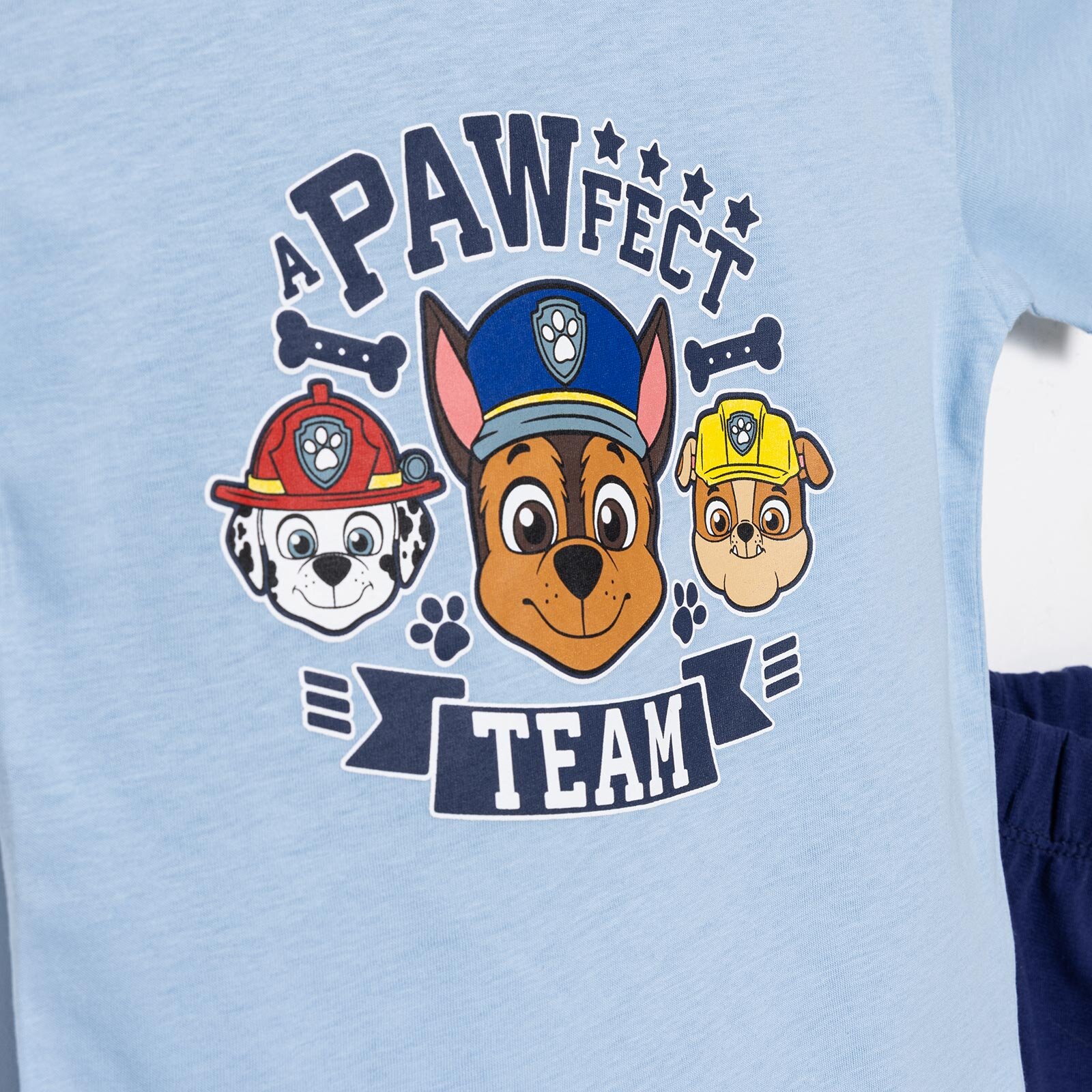 Paw Patrol Erkek Tshirt-Şort Erkek Bebek