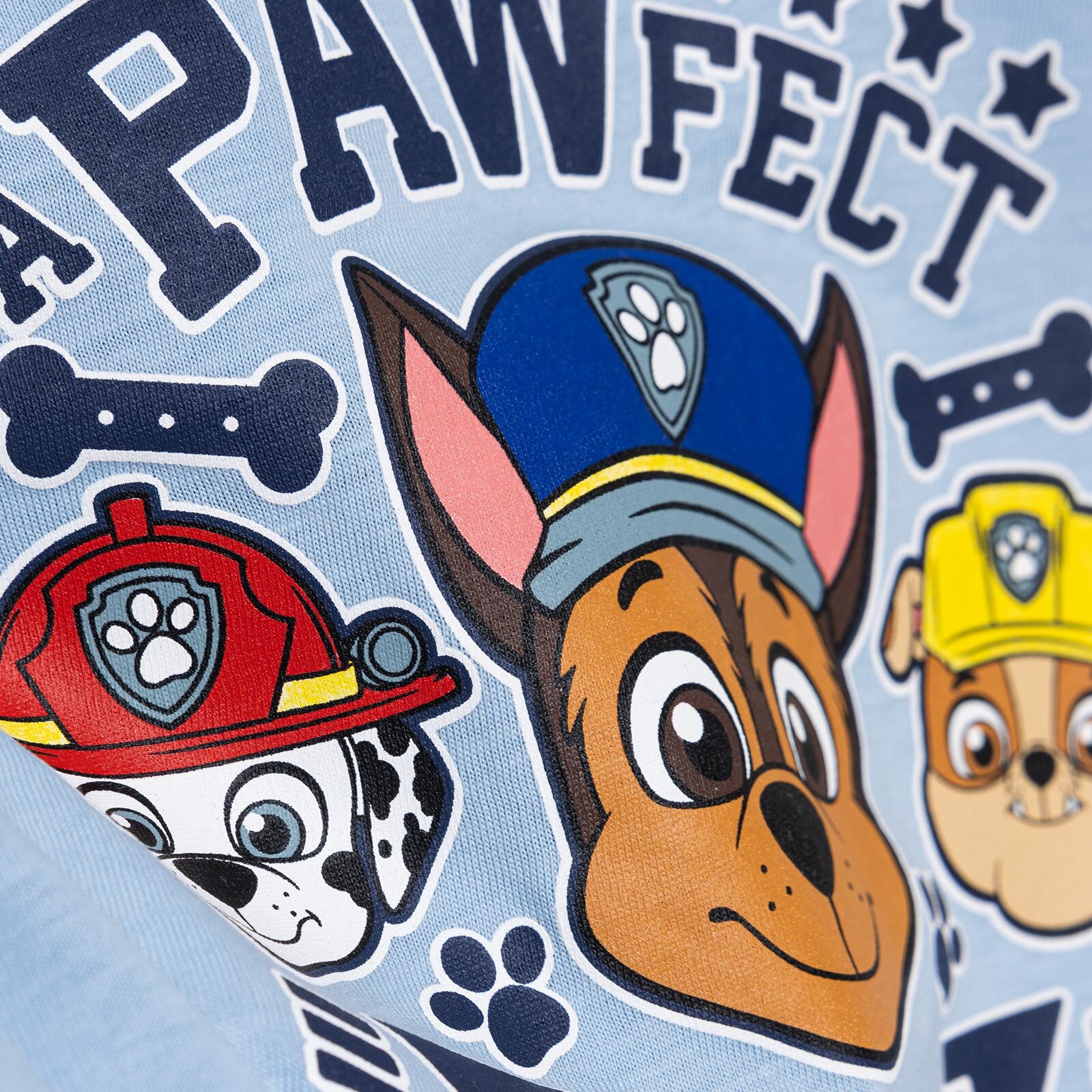 Paw Patrol Erkek Tshirt-Şort Erkek Bebek