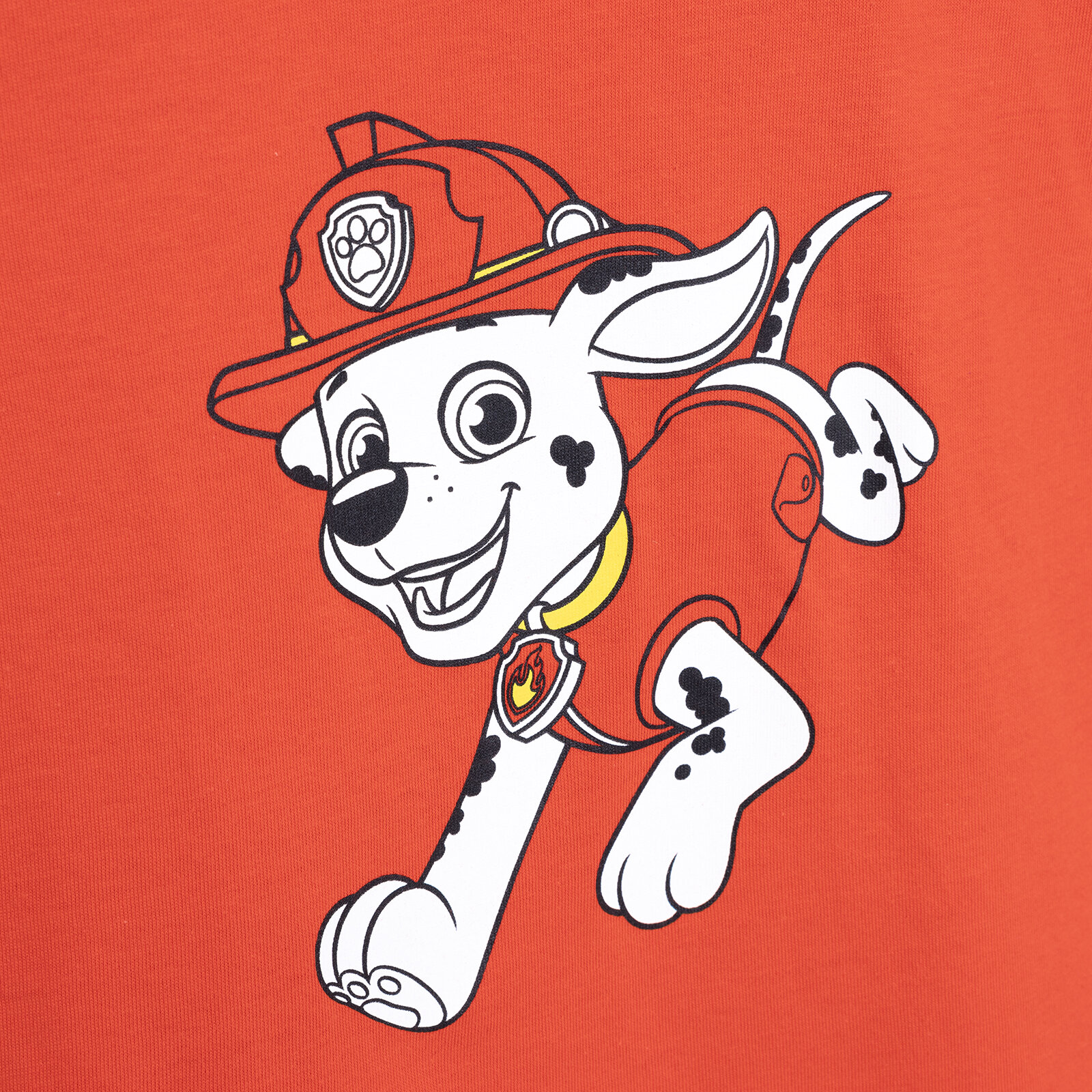 Paw Petrol Tshirt Erkek Bebek