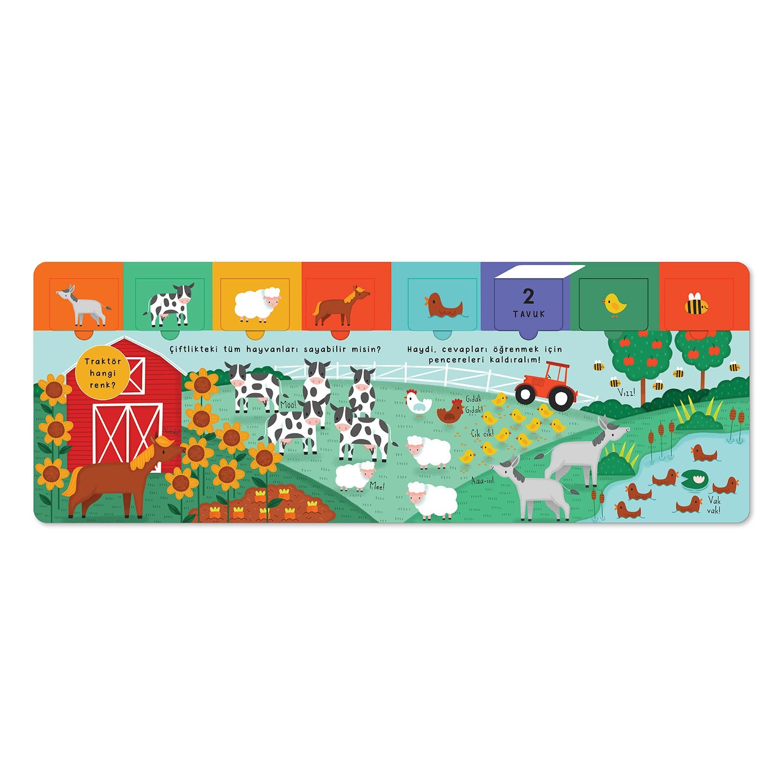 Pencereli Kitap Hayvanlar Alemi Pencereli Kitap Hayvanlar Alemi