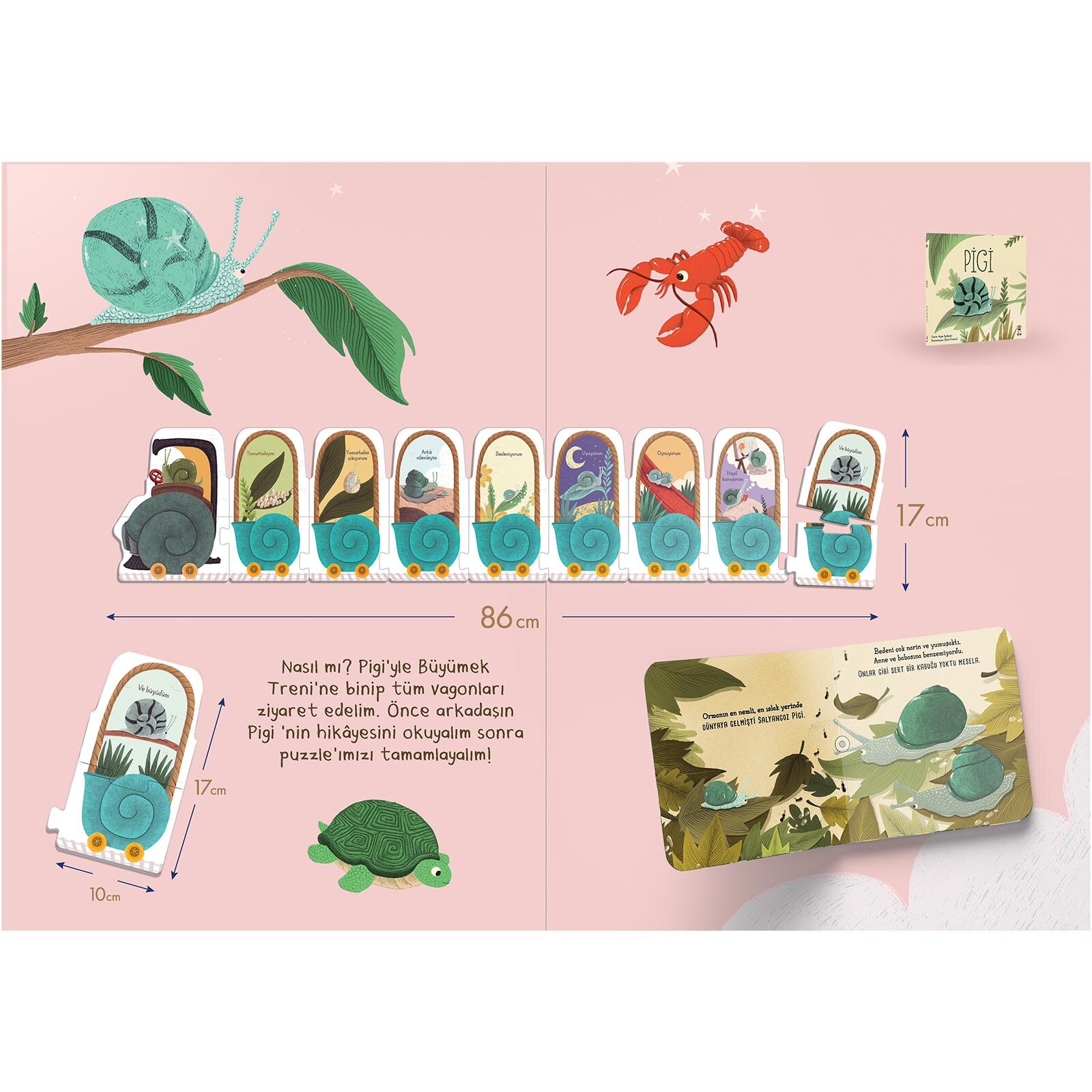 Pigi- Büyümek Treni 18 Parça Puzzle ve Kitap