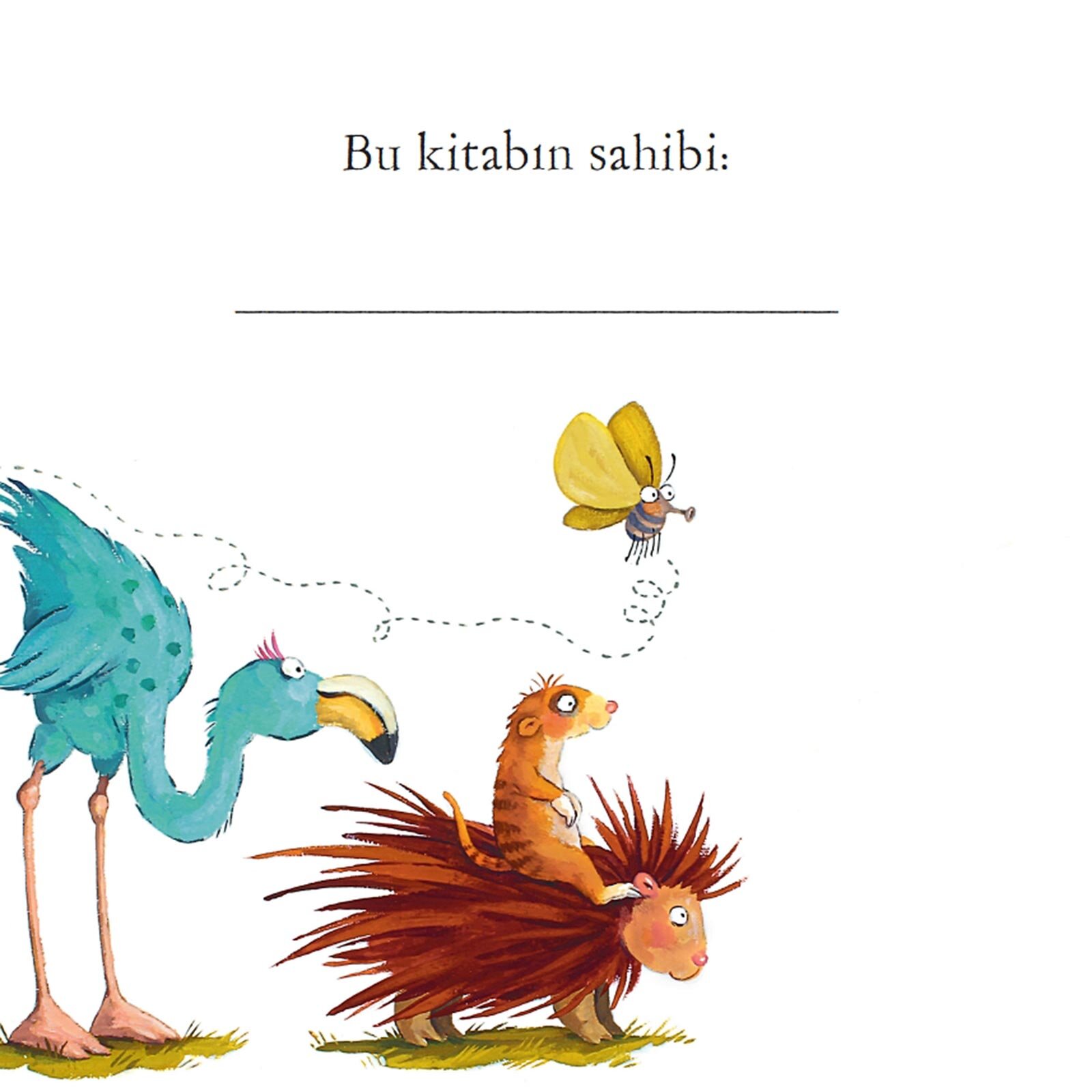 Ponpon'un Duyguları Ponpon'un Duyguları