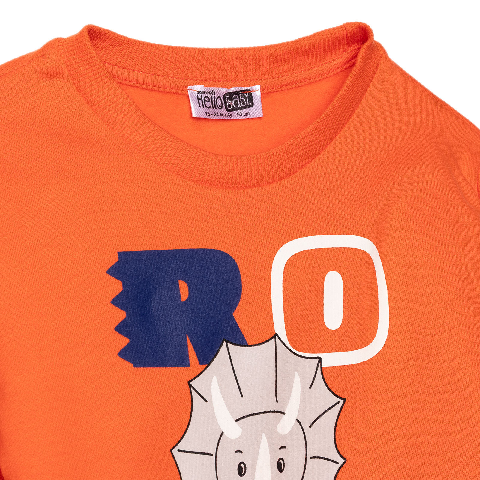 Erkek Bebek Cool Dino Eşofman Takımı Şardonlu Bisiklet Yaka Uzun Kol Lastikli Paça