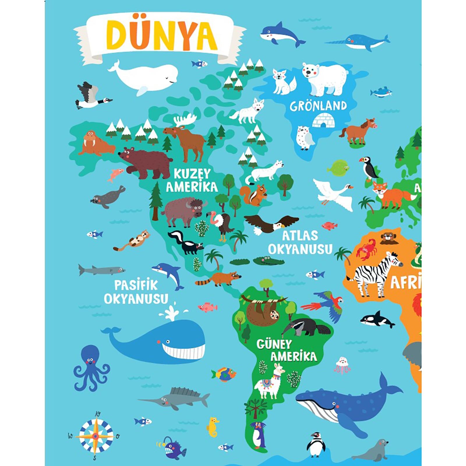 RENGÂRENK HAYVAN ATLASIM - KAPLAN, AYI VE FİL NEREDE YAŞIYOR ? RENGÂRENK HAYVAN ATLASIM - KAPLAN, AYI VE FİL NEREDE YAŞIYOR ?