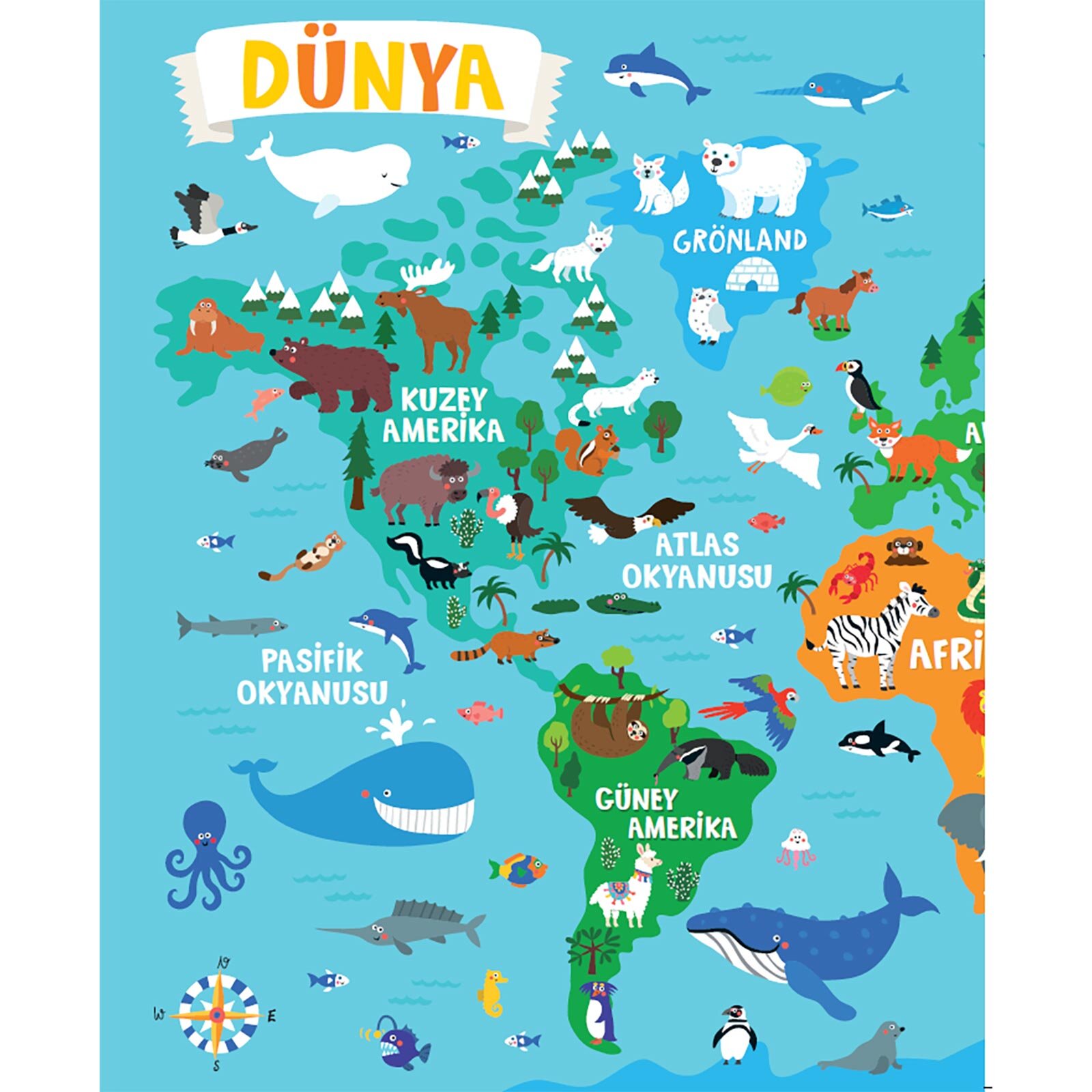 RENGÂRENK HAYVAN ATLASIM - KAPLAN, AYI VE FİL NEREDE YAŞIYOR ?