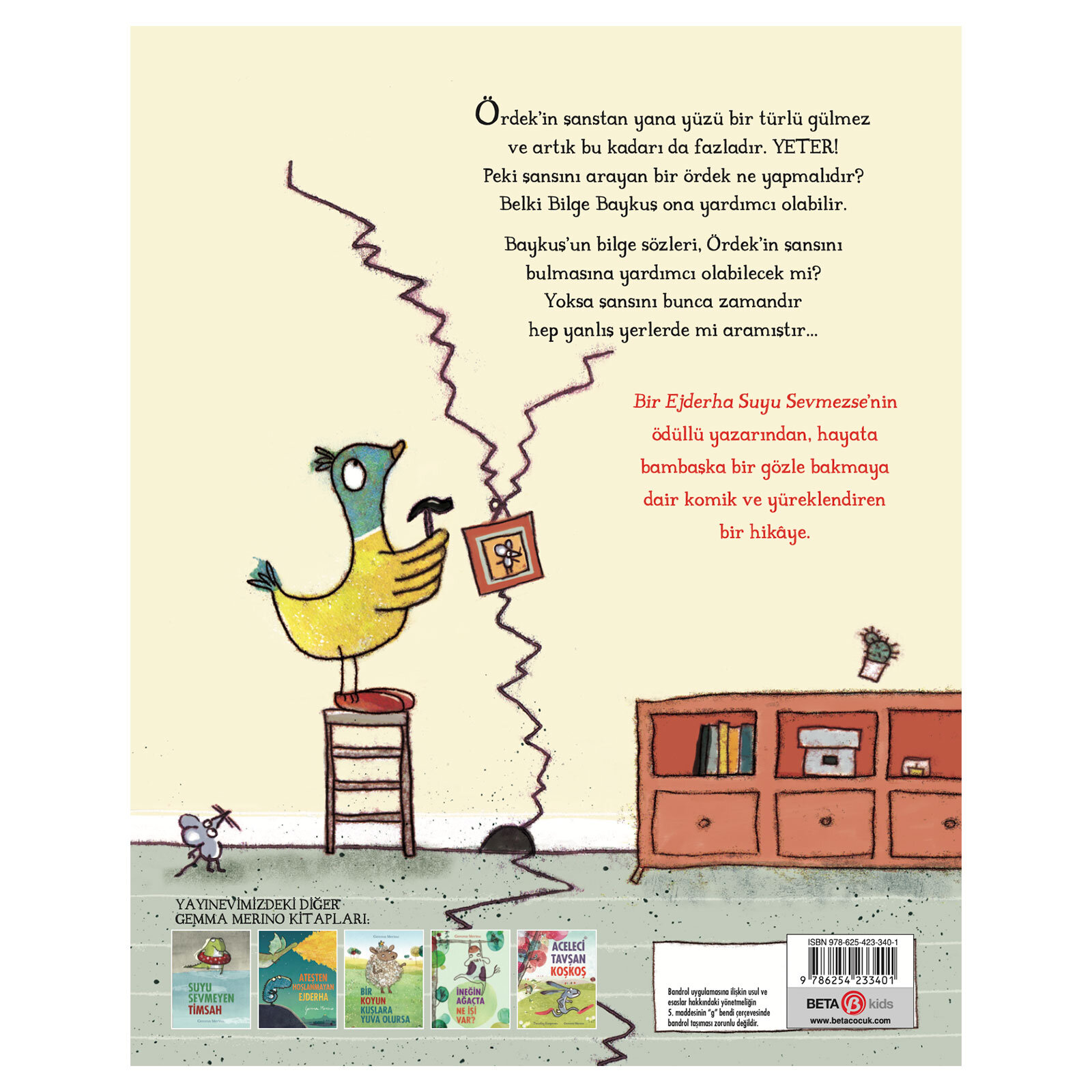 Şansını Arayan Ördek Şansını Arayan Ördek