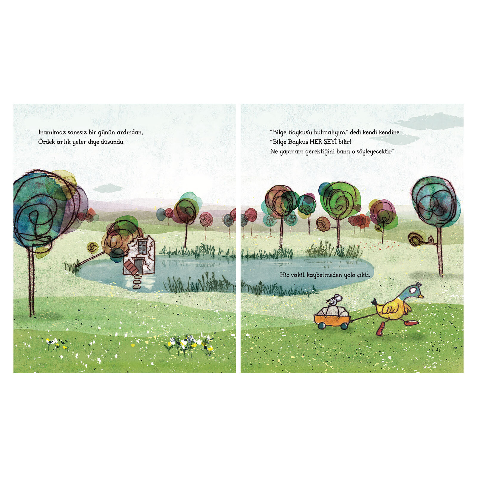 Şansını Arayan Ördek Şansını Arayan Ördek